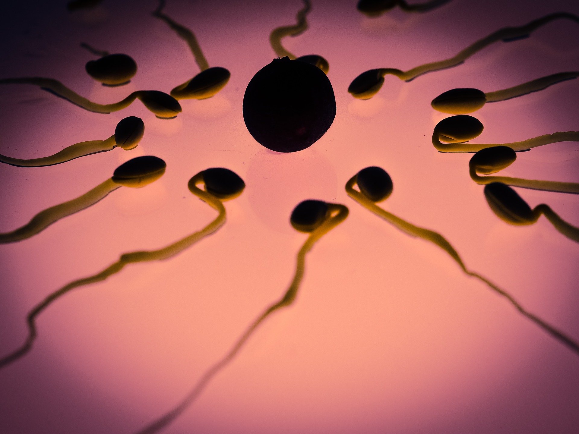 COVID-19 infection may reduce fertility in men