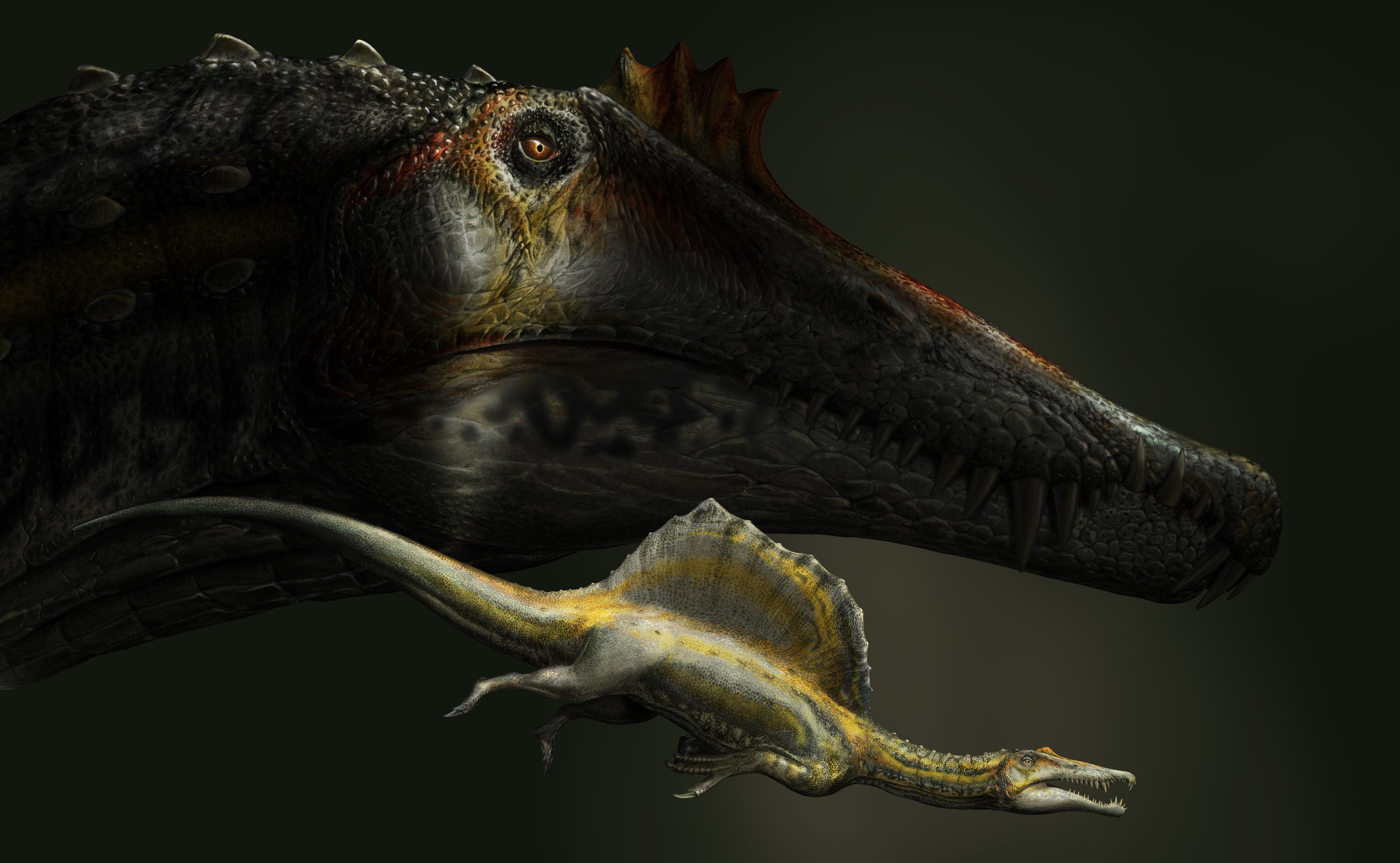Слово динозавр означает страшный ящер. Spinosaurus. Динозавр Спинозавр. Спинозавр Низара. Spinosaurus 2021.