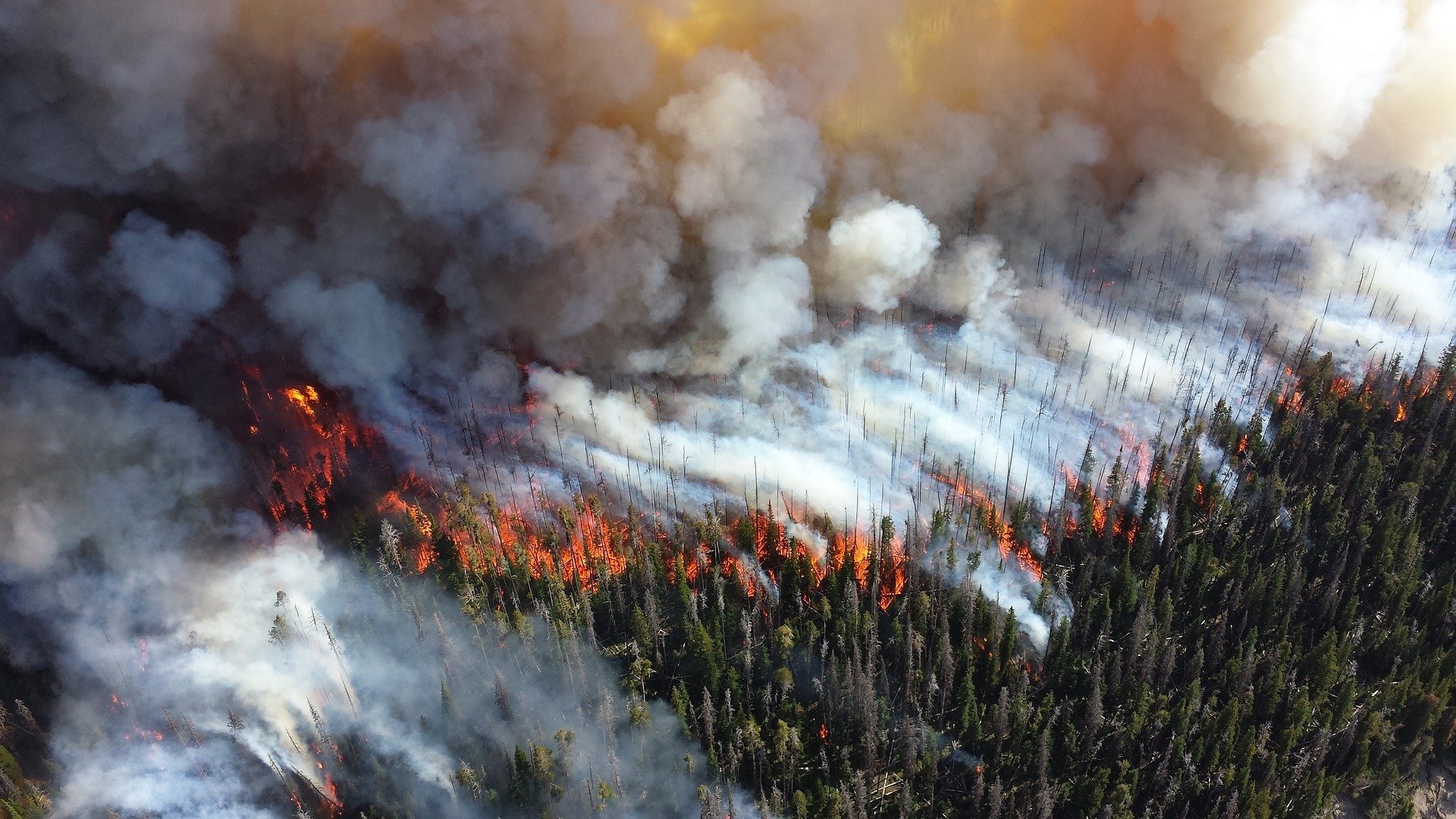 Scientists show how wildfire smoke increases ozone pollution