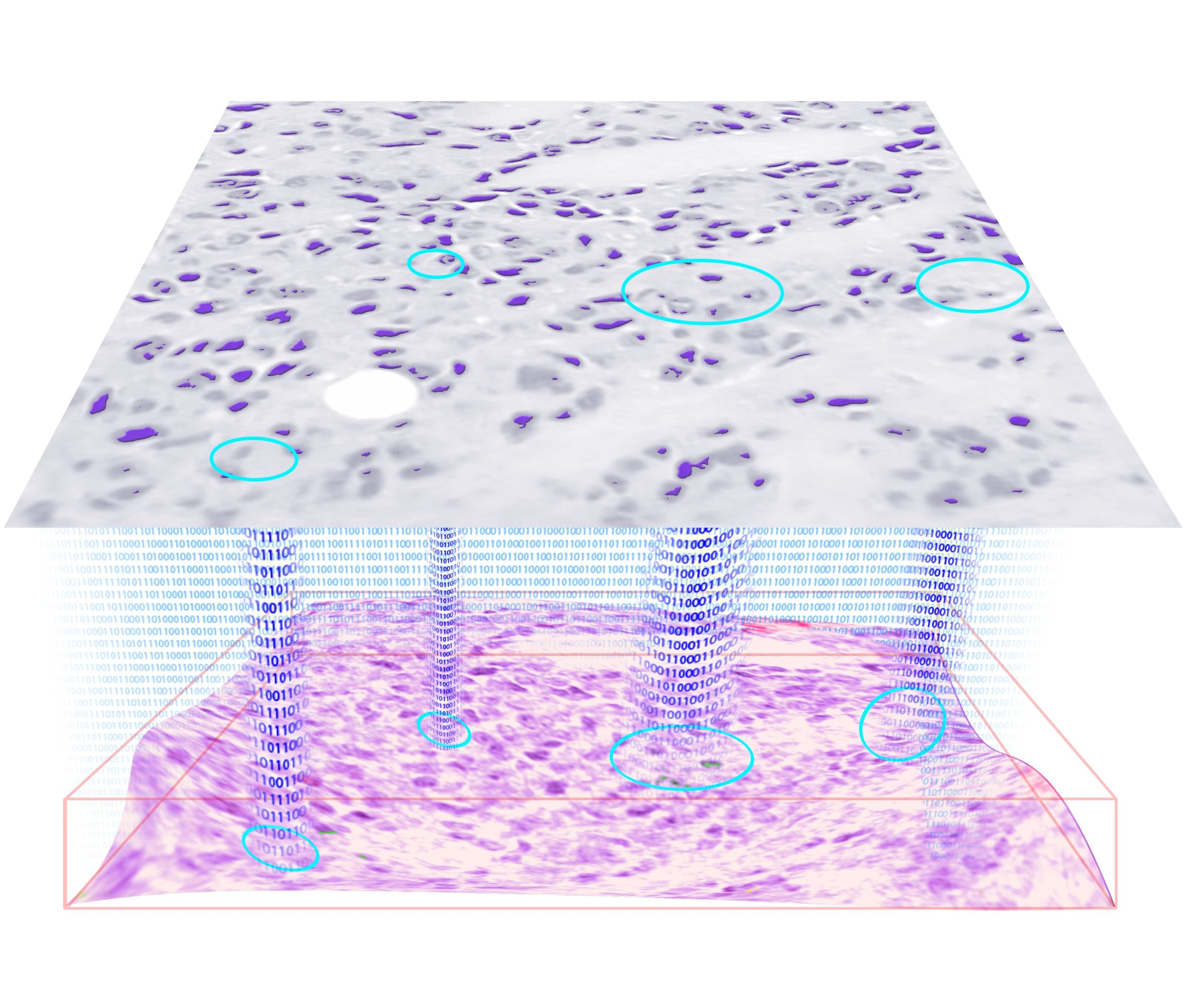 deep learning enables 3d holograms on