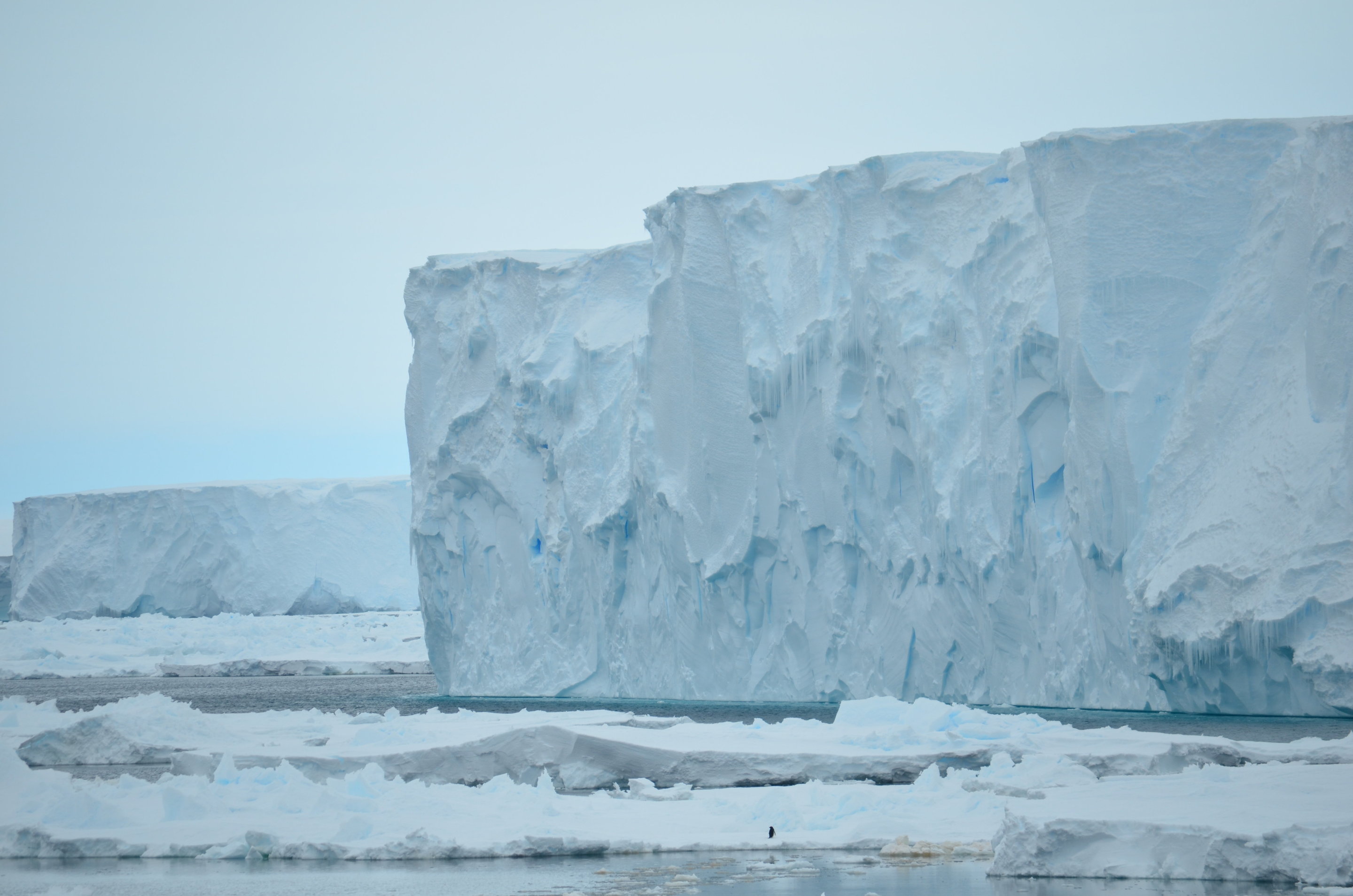 Антарктический ледниковый щит. Таяние ледников Антарктиды 1979-2020. Гренландский ледяной щит. Ледниковый щит Антарктиды. Ледяной Покров Антарктиды.