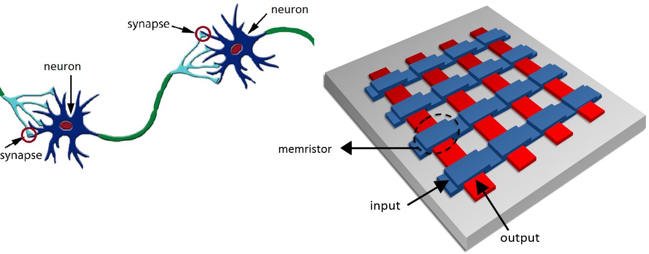 brain building blocks