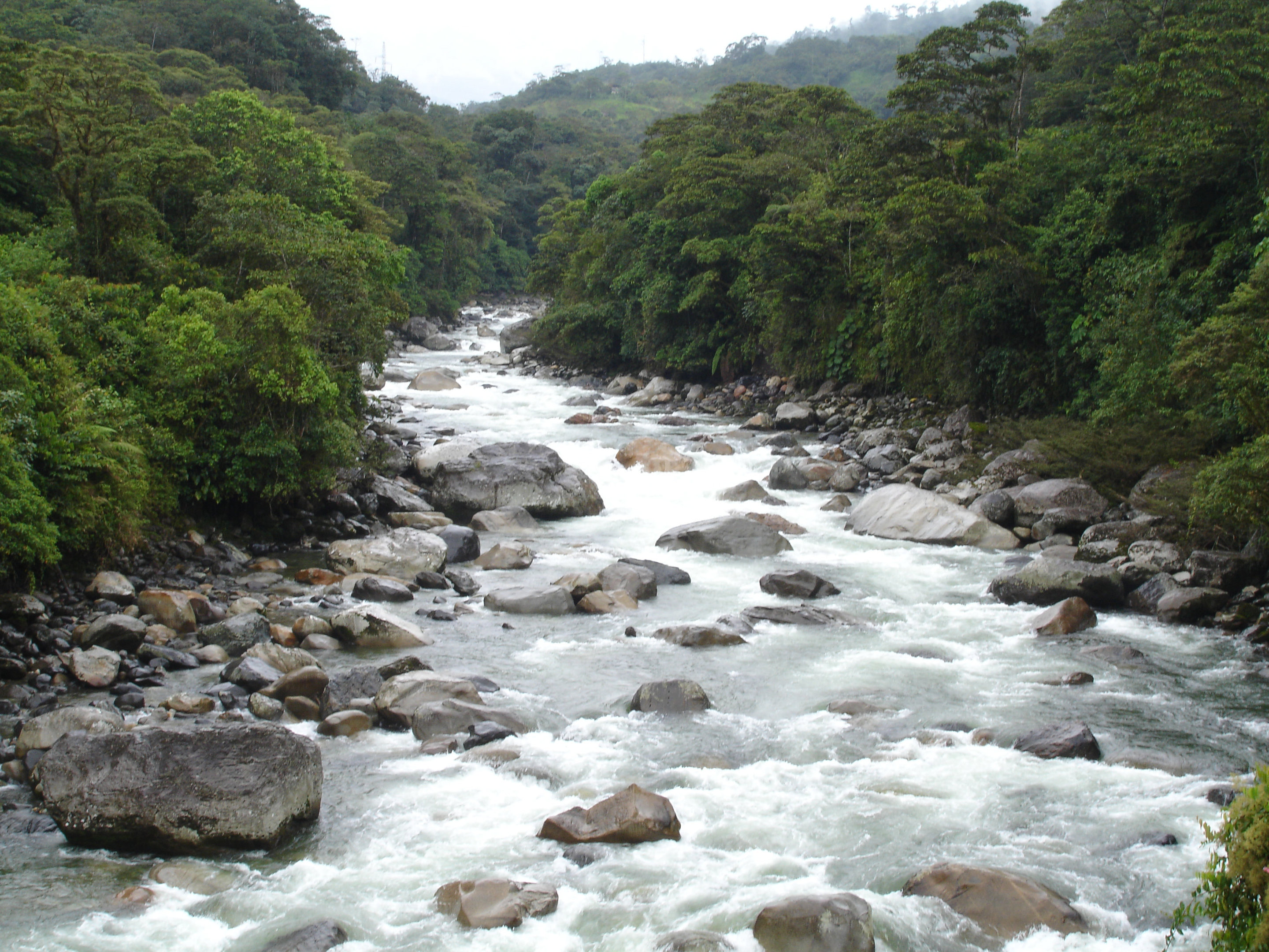 Study suggests dams causing impact on Amazon basin than thought