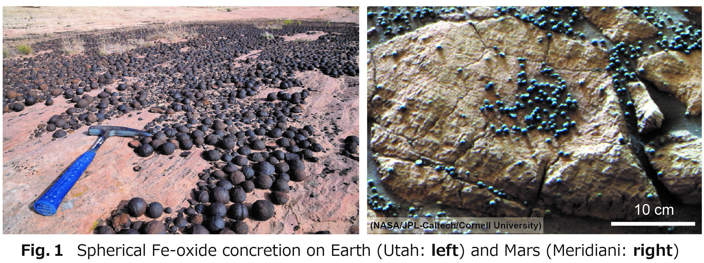 Iron-oxide concretions and nodules