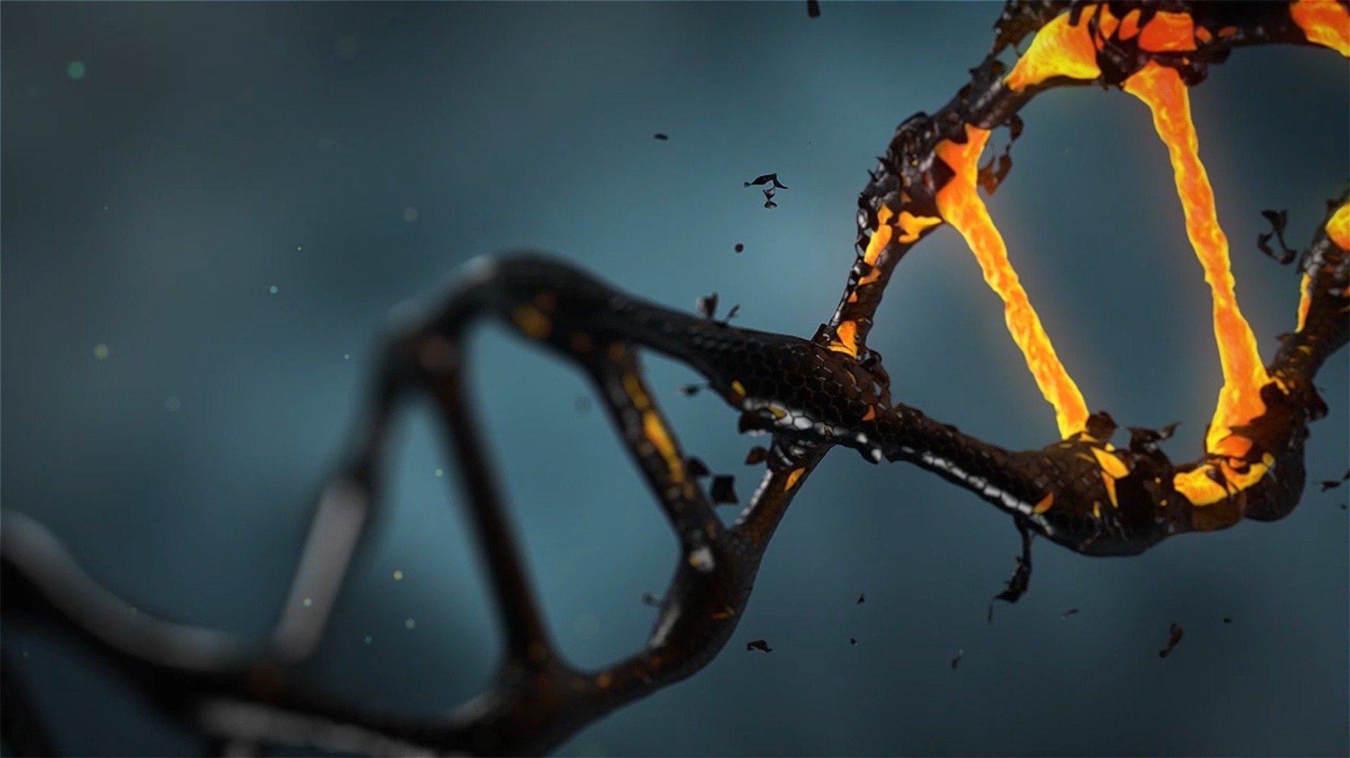 Los investigadores descubren la reparación del ADN humano mediante metamorfosis nuclear