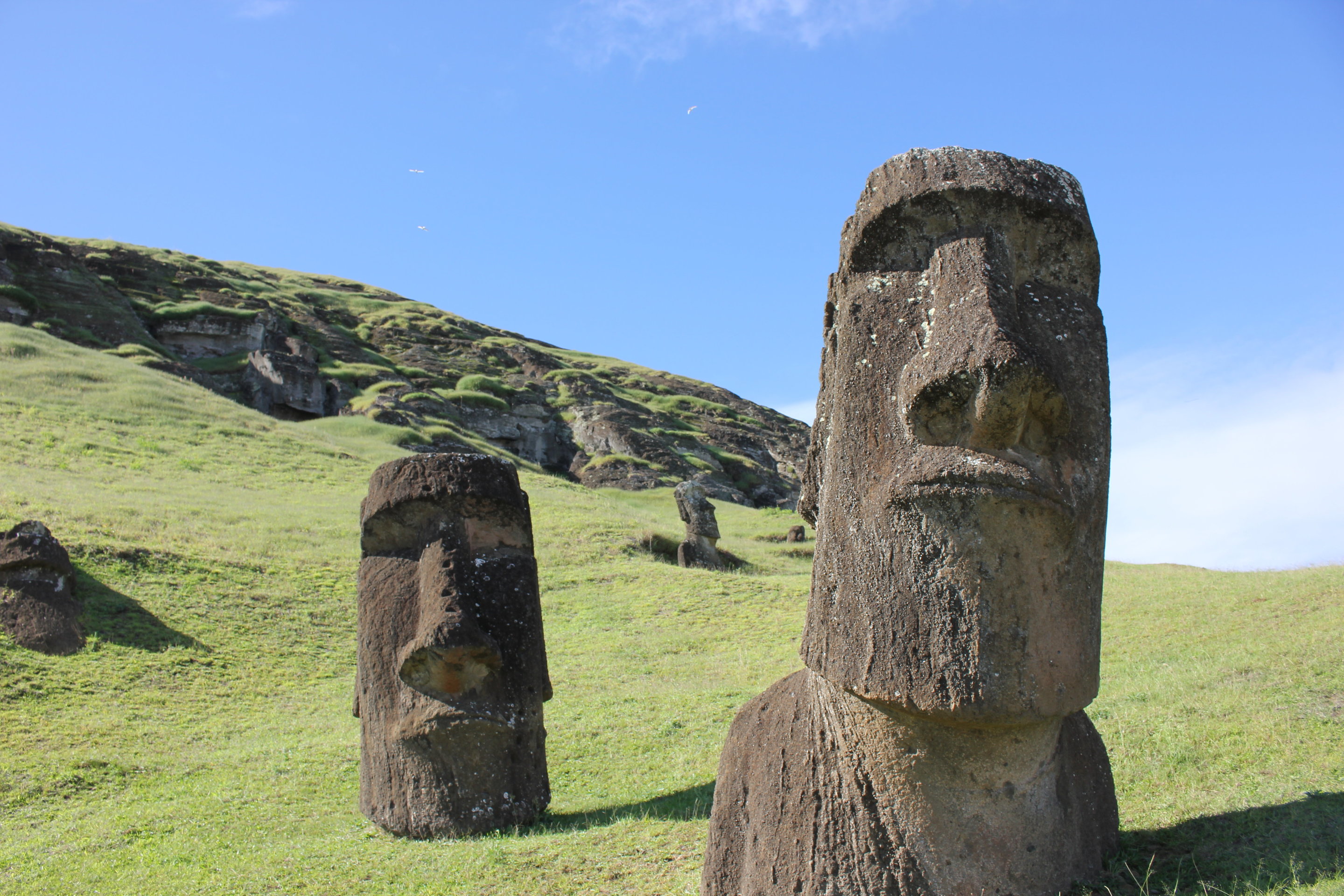 Easter Island S Society Might Not Have Collapsed