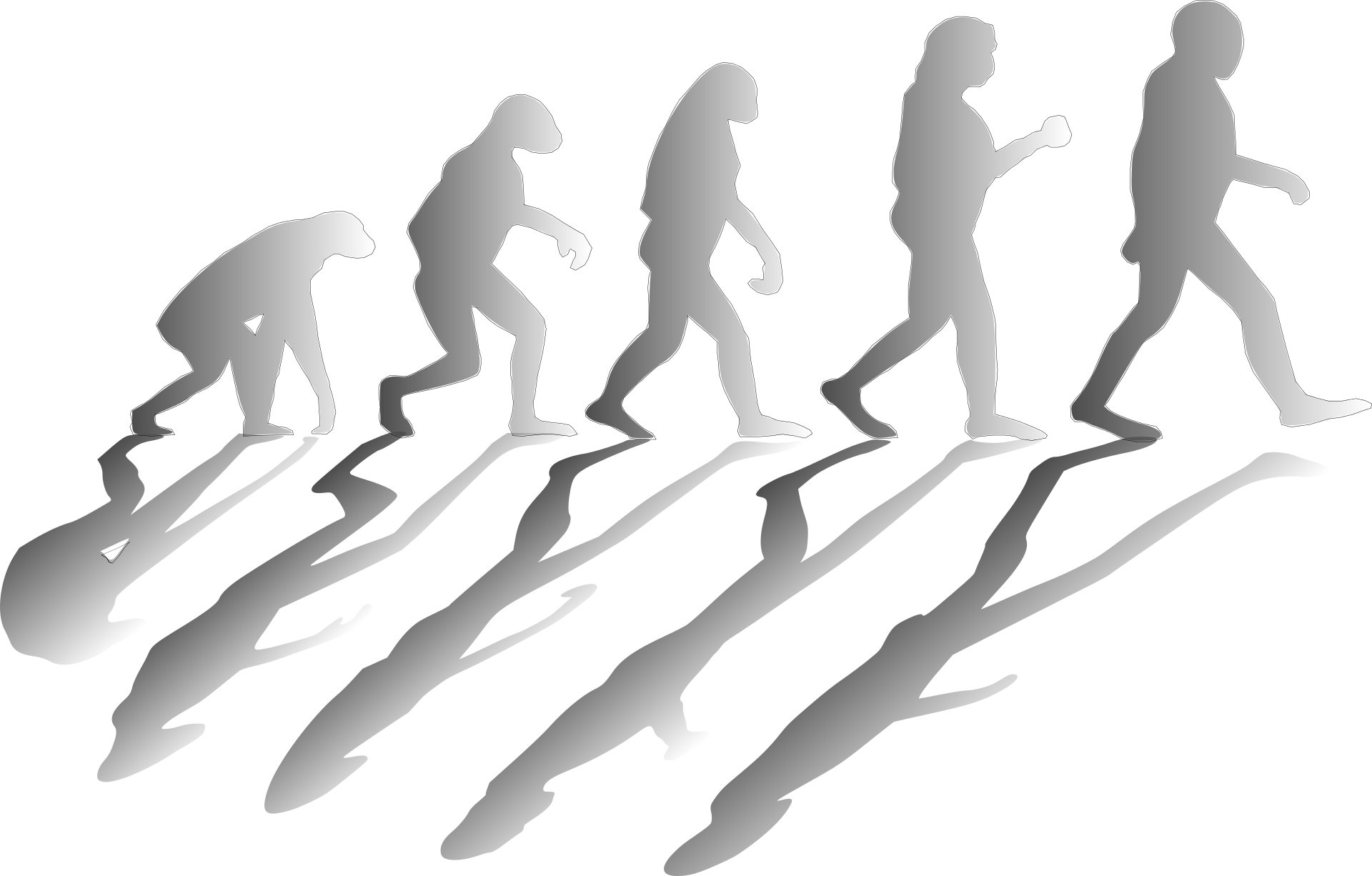The evolving attitudes of Gen X toward evolution