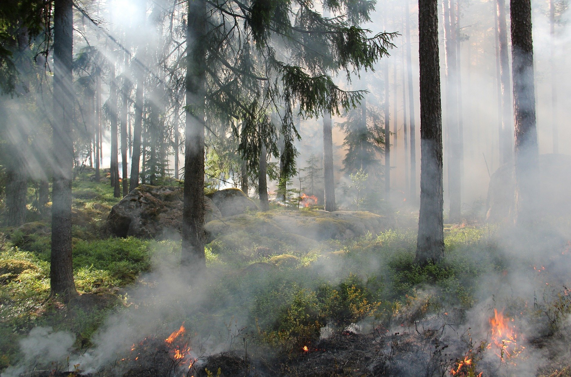 EPA clears Washington state to do more controlled burns to prevent wildfires