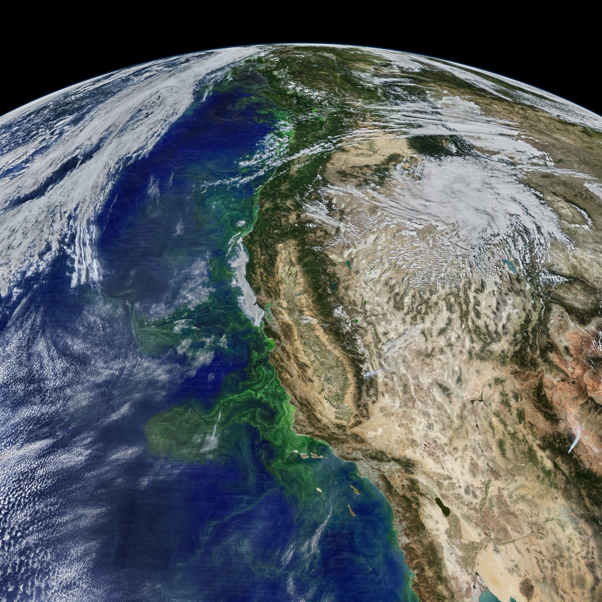 Центр тихого океана. Тихий океан с космоса. Покажите тихий океан. NASA Export. Ocean Satellite images.