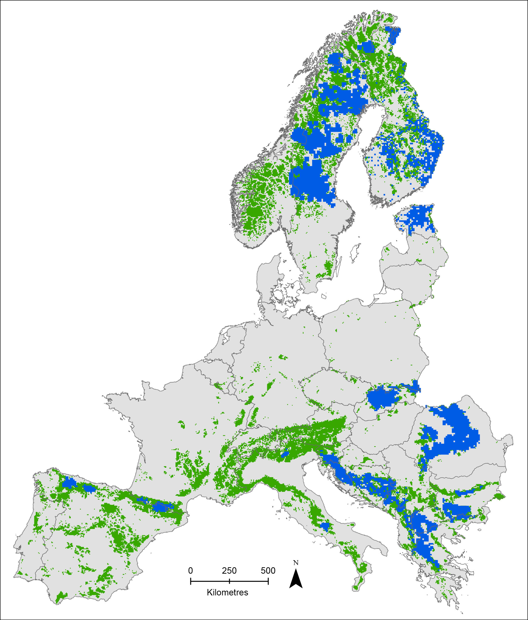 Plenty Of Habitat For Bears In Europe