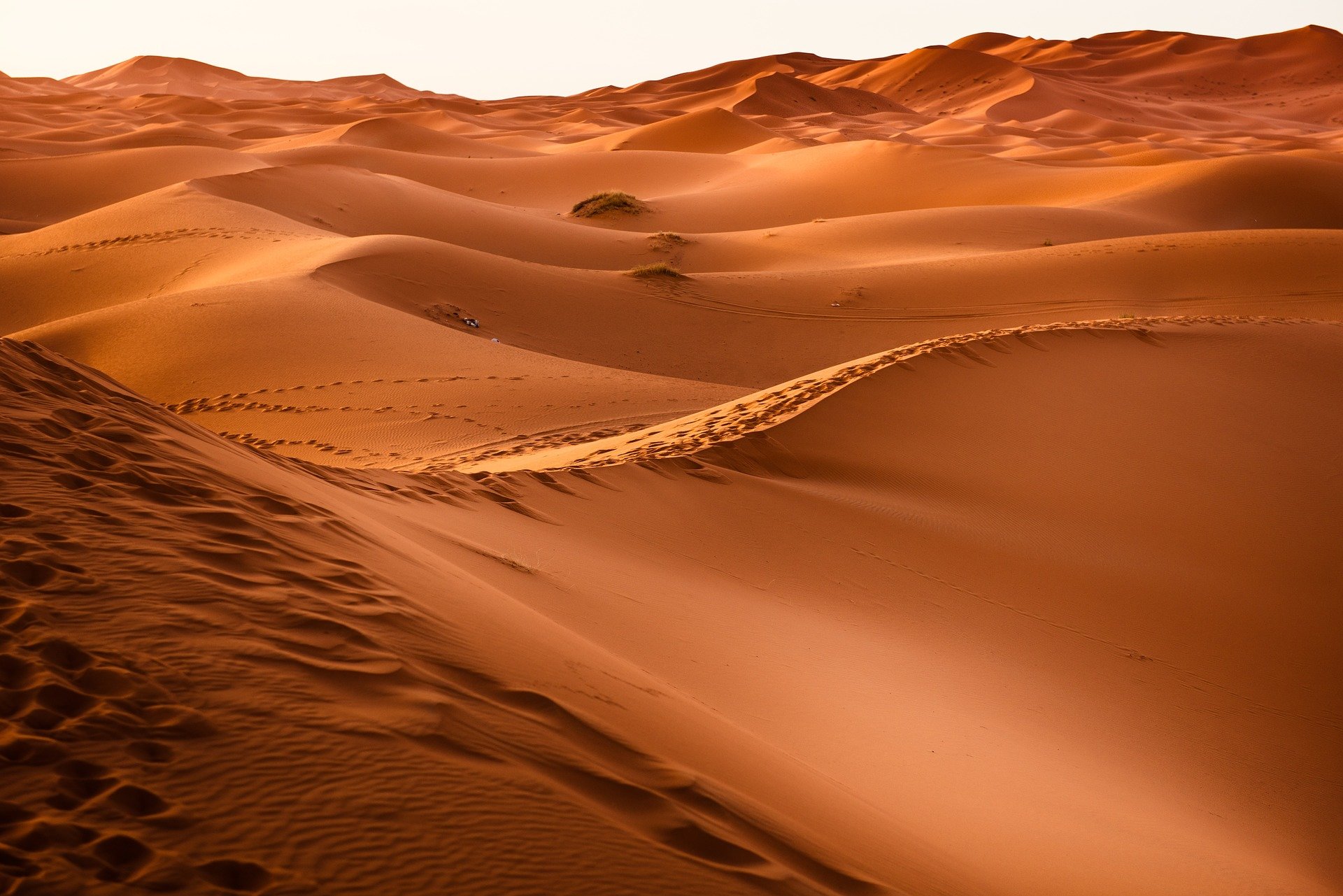 De Sahara-woestijn was een groene savanne: onderzoek verklaart waarom