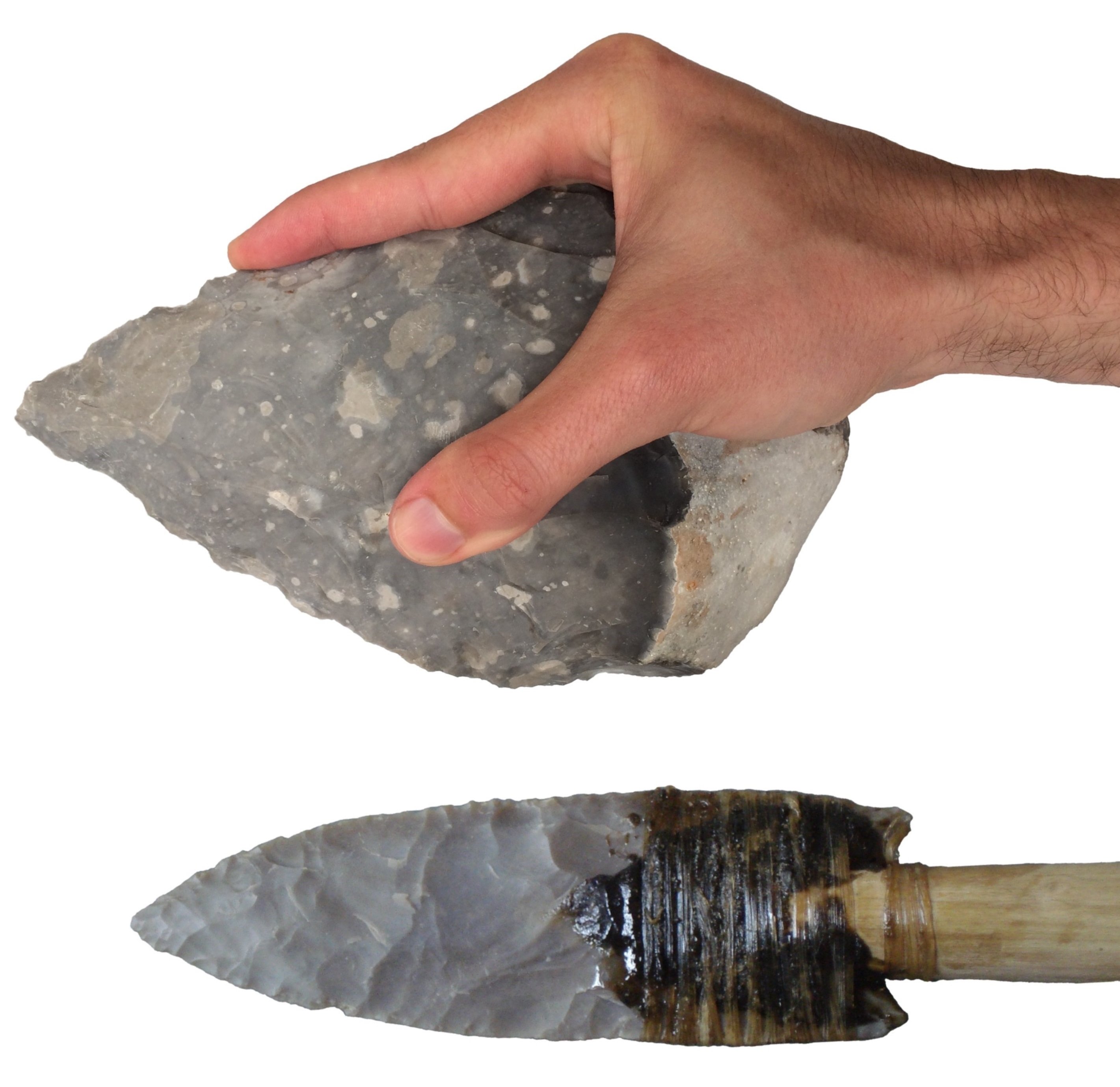 Early Stone Tools