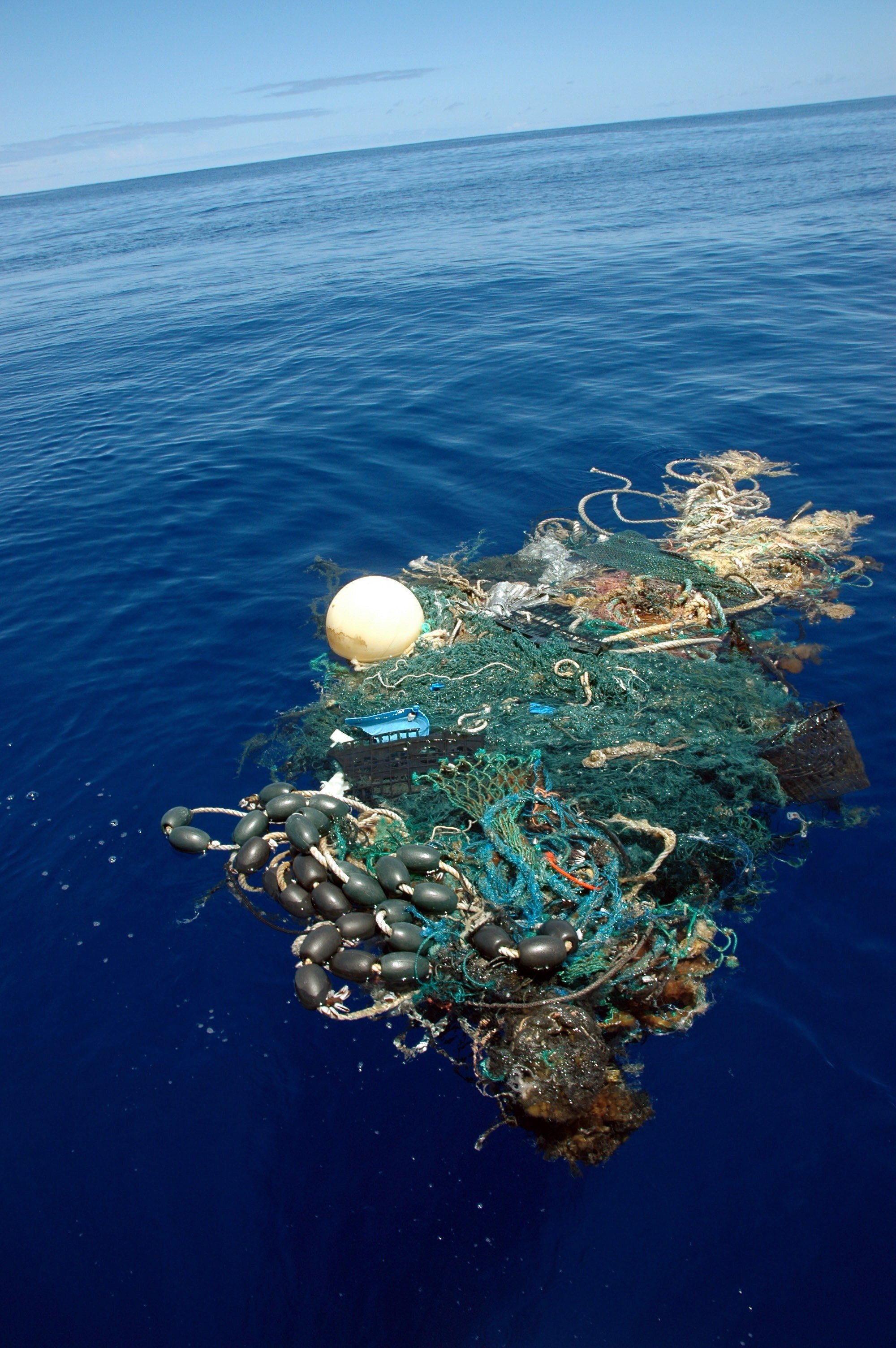 Экологические сообщества мирового океана. Саргассово море мусорное пятно. Great Pacific Garbage Patch. Большое Тихоокеанское мусорное пятно со спутника.
