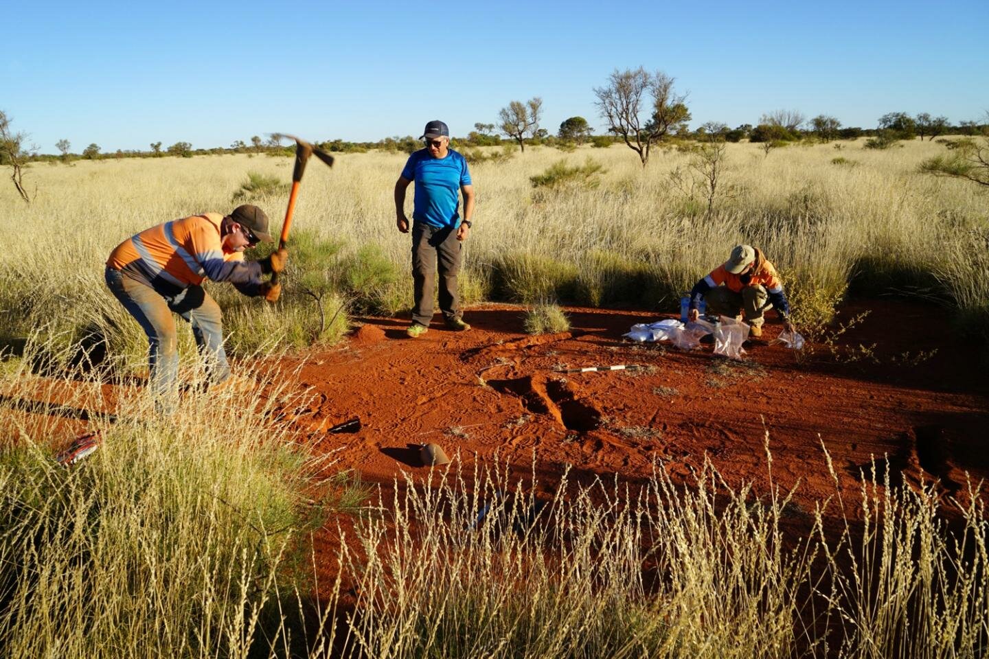A multi‐scale study of Australian fairy circles using soil