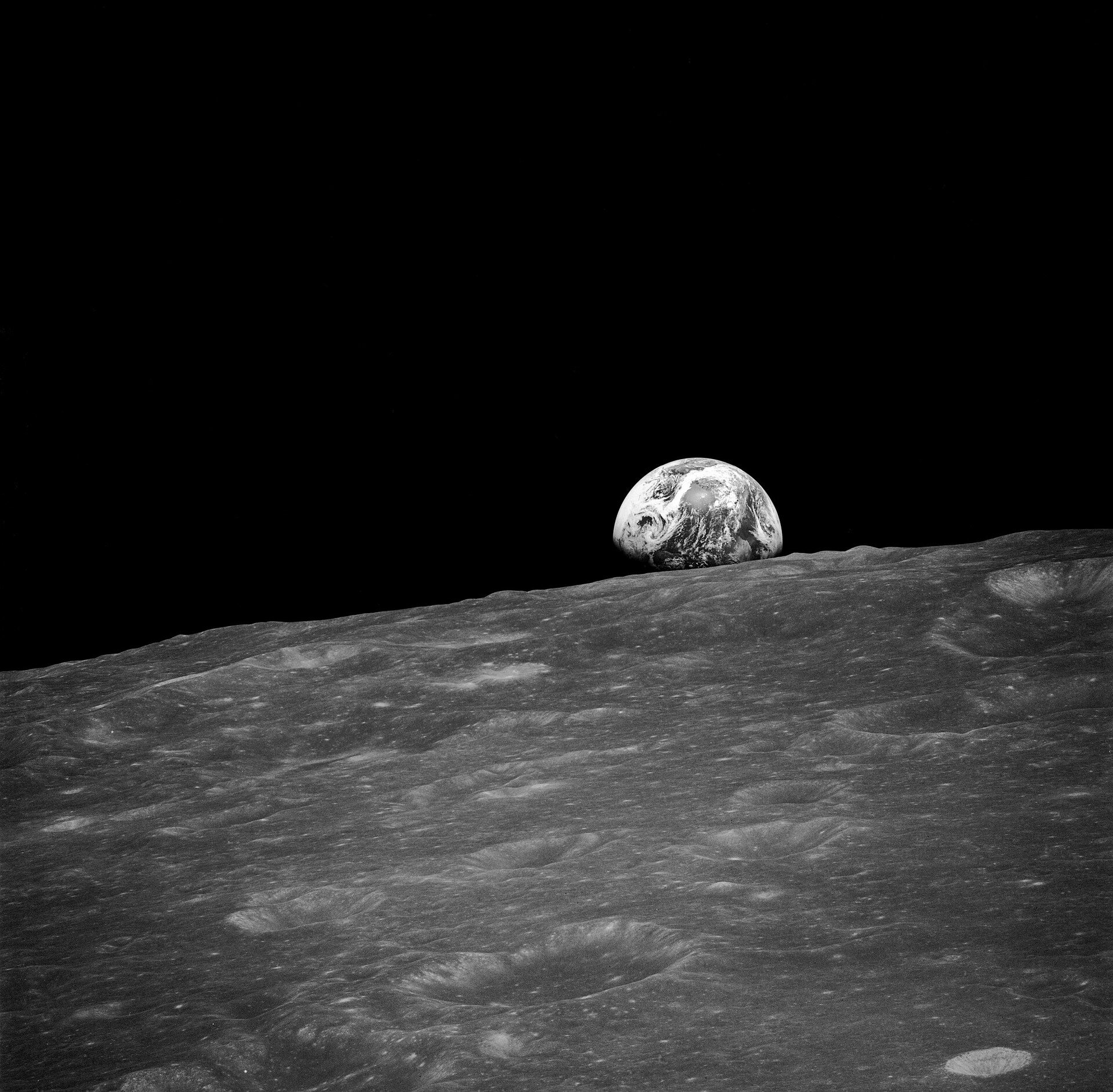 Hordes of Earth's toughest creatures may now be living on Moon