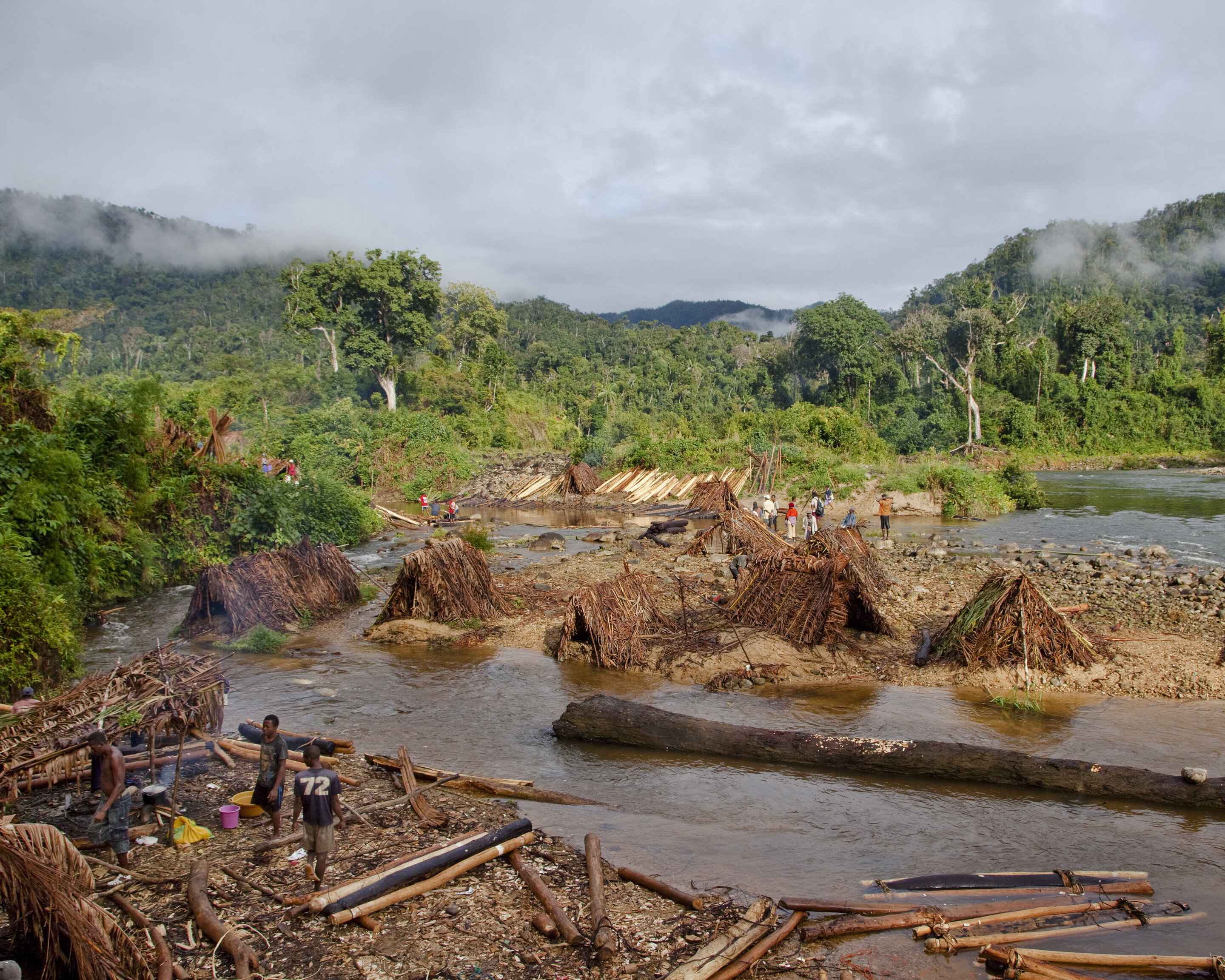 Леса Мадагаскара вырубка