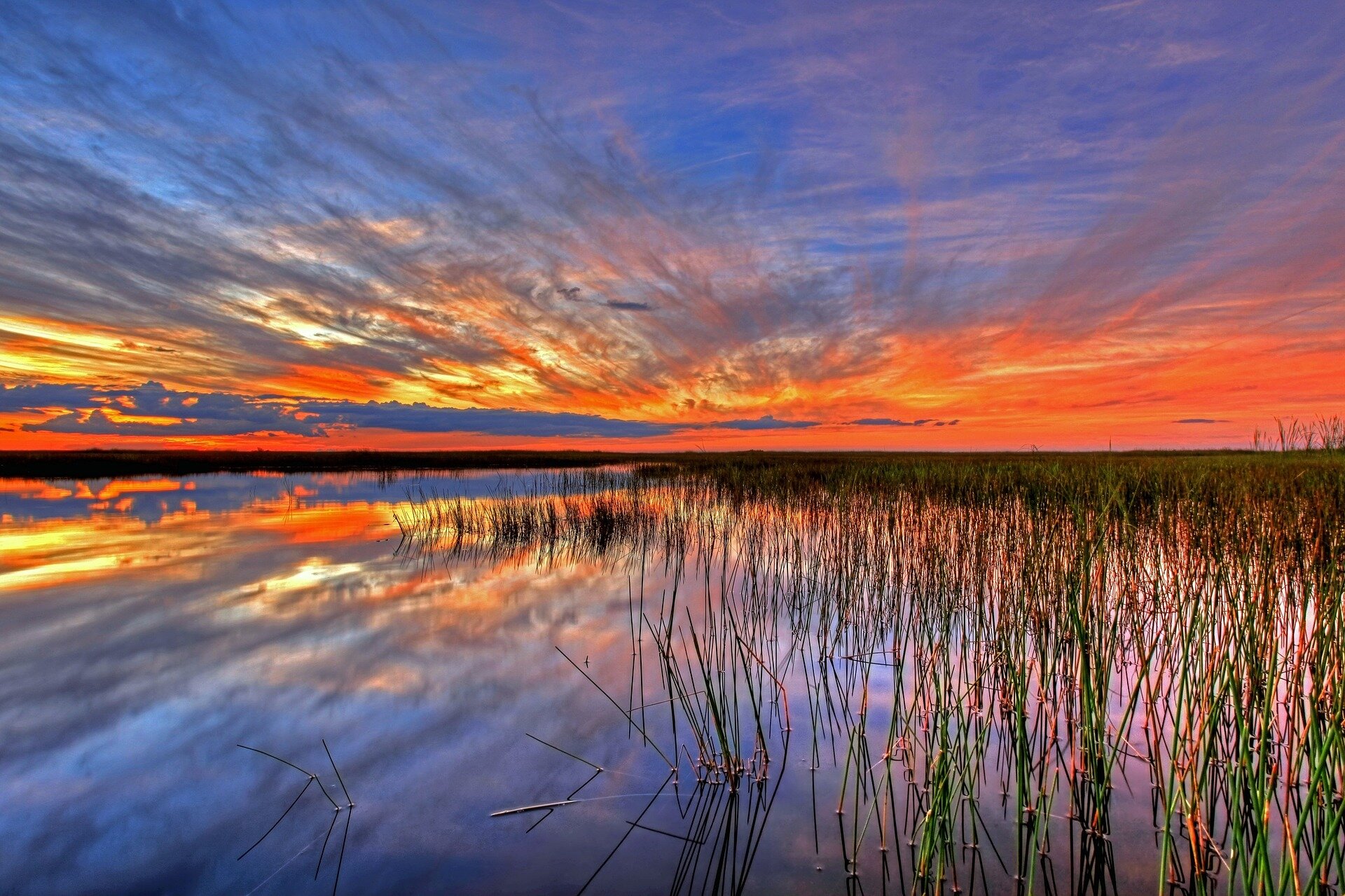 Restoration Strategies for Clean Water for the Everglades