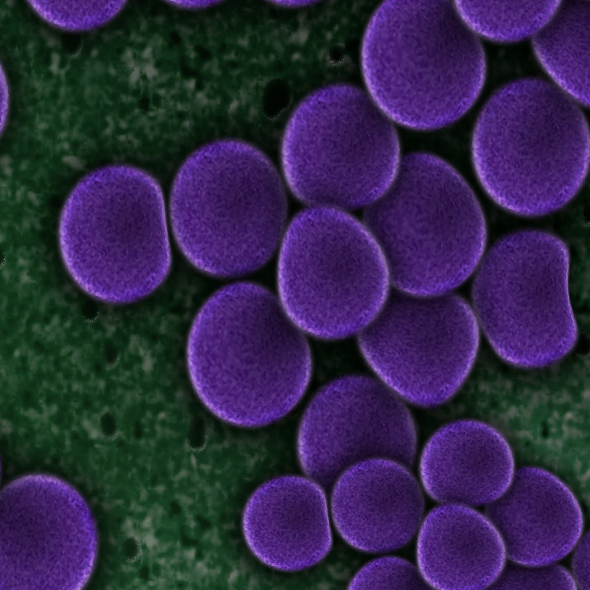 #Meet Clostridium butyricum—the bacteria that helps keep us feeling our best