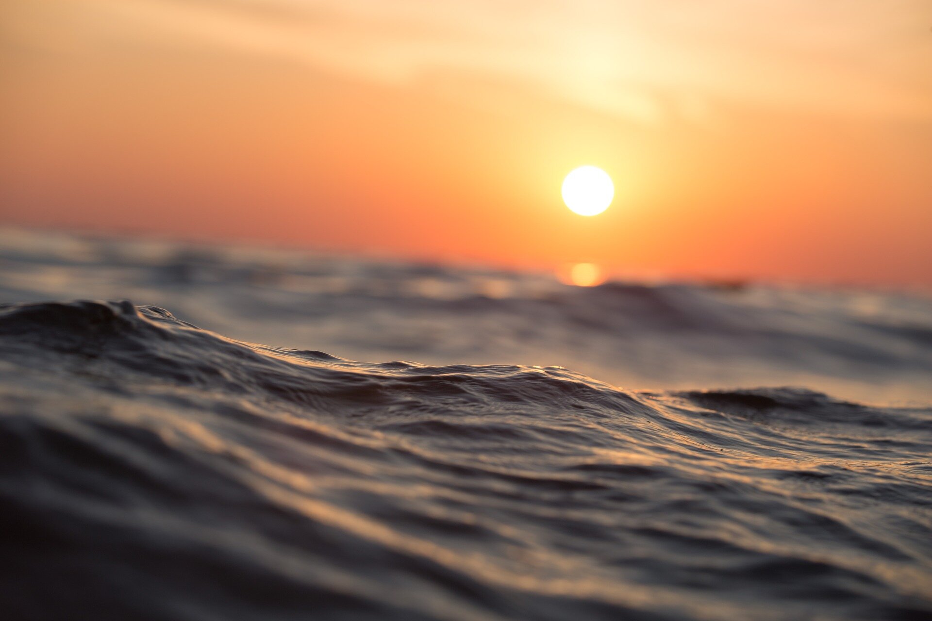 Oceans were hottest on record in 2019