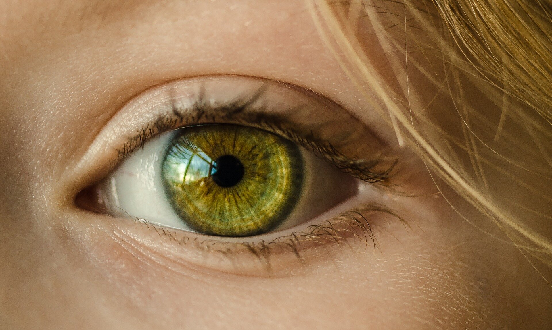 Ai To Bring Sharper Focus To Eye Testing