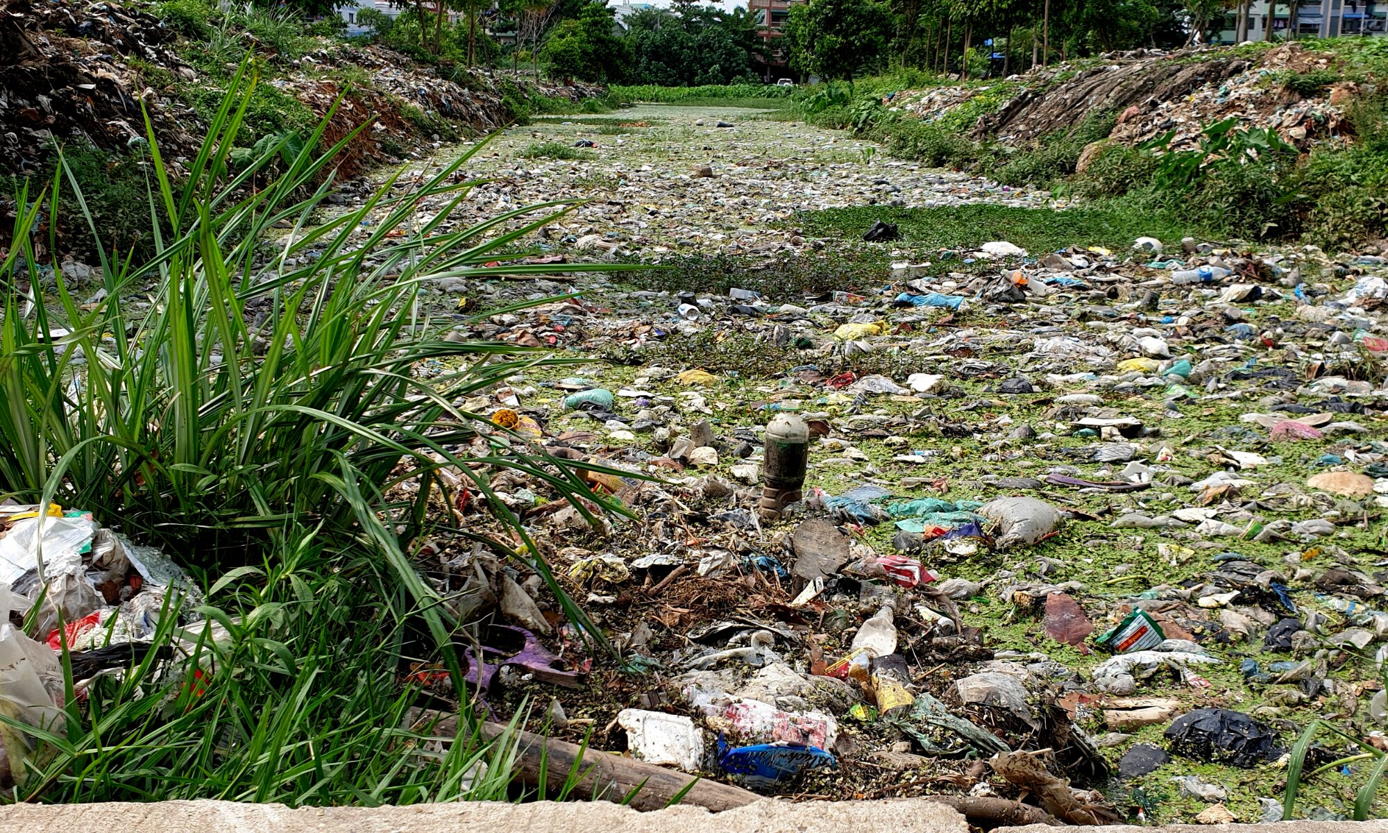 Загрязнение природной среды живыми организмами. Загрязнение среды. Загрязнение пластиком. Загрязненная Мьянма. Pollution of the environment.