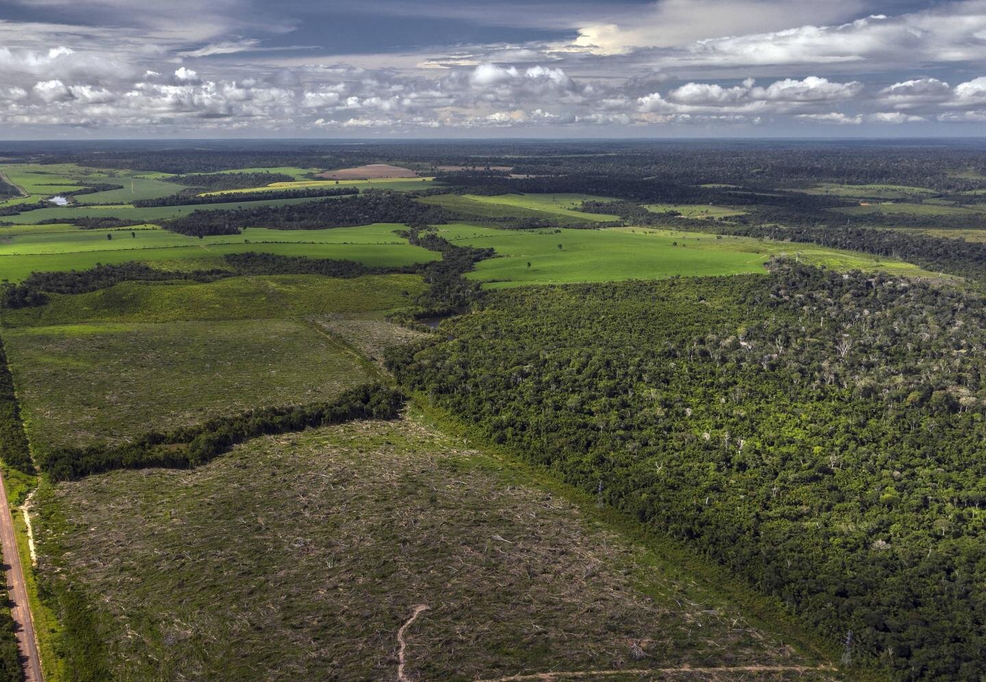 Amazon Forest Regrowth Much Slower Than Previously Thought
