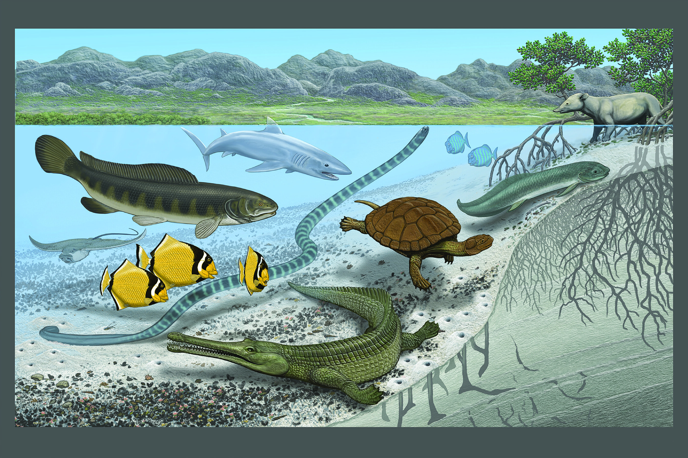 Около 300 млн лет назад какой период. Обитатели моря Тетис. Древние морские обитатели. Древние морские животные. 600 Миллионов лет назад.