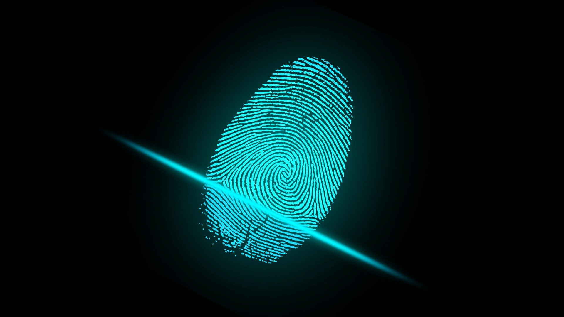 #Security vulnerabilities revealed in fingerprint sensors and crypto wallets