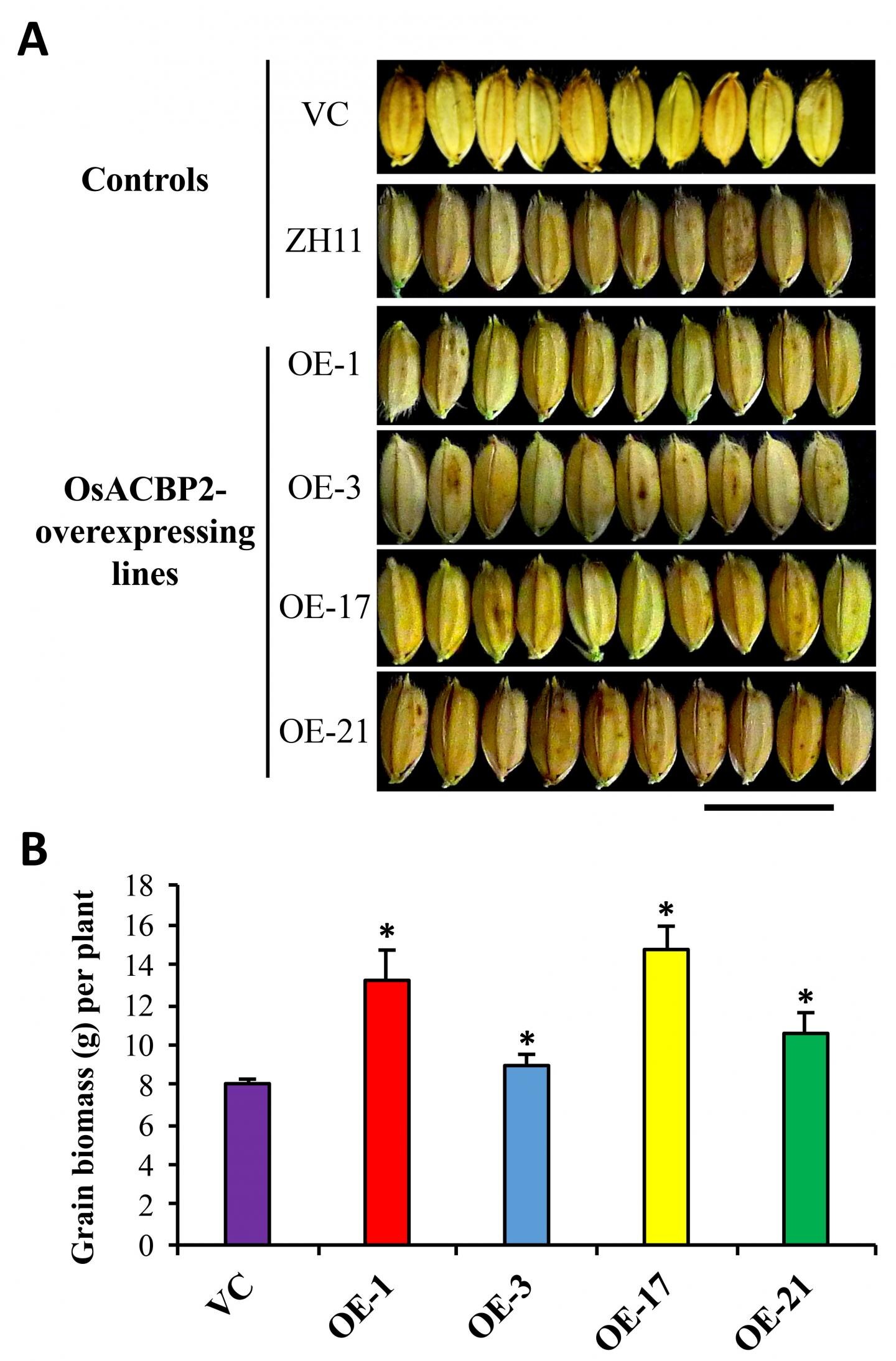 Identify and Control Scale