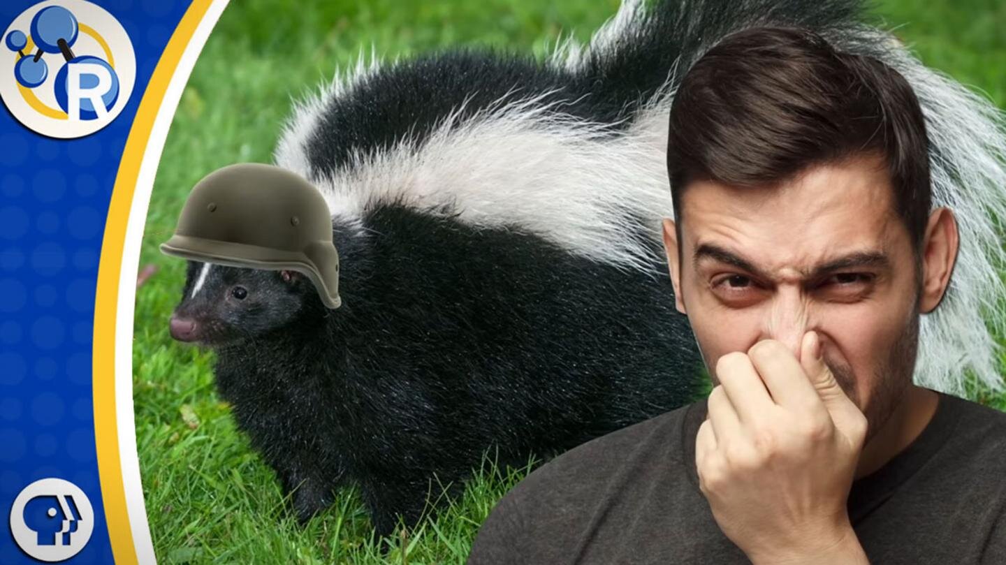 Video: How to get rid of that skunk smell?