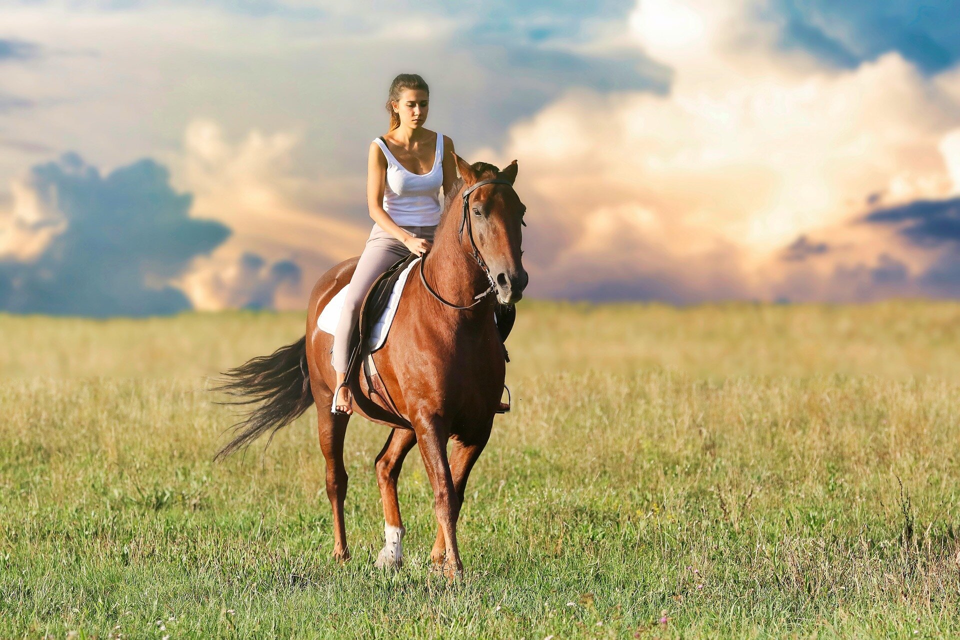 Rise of women in endurance riding