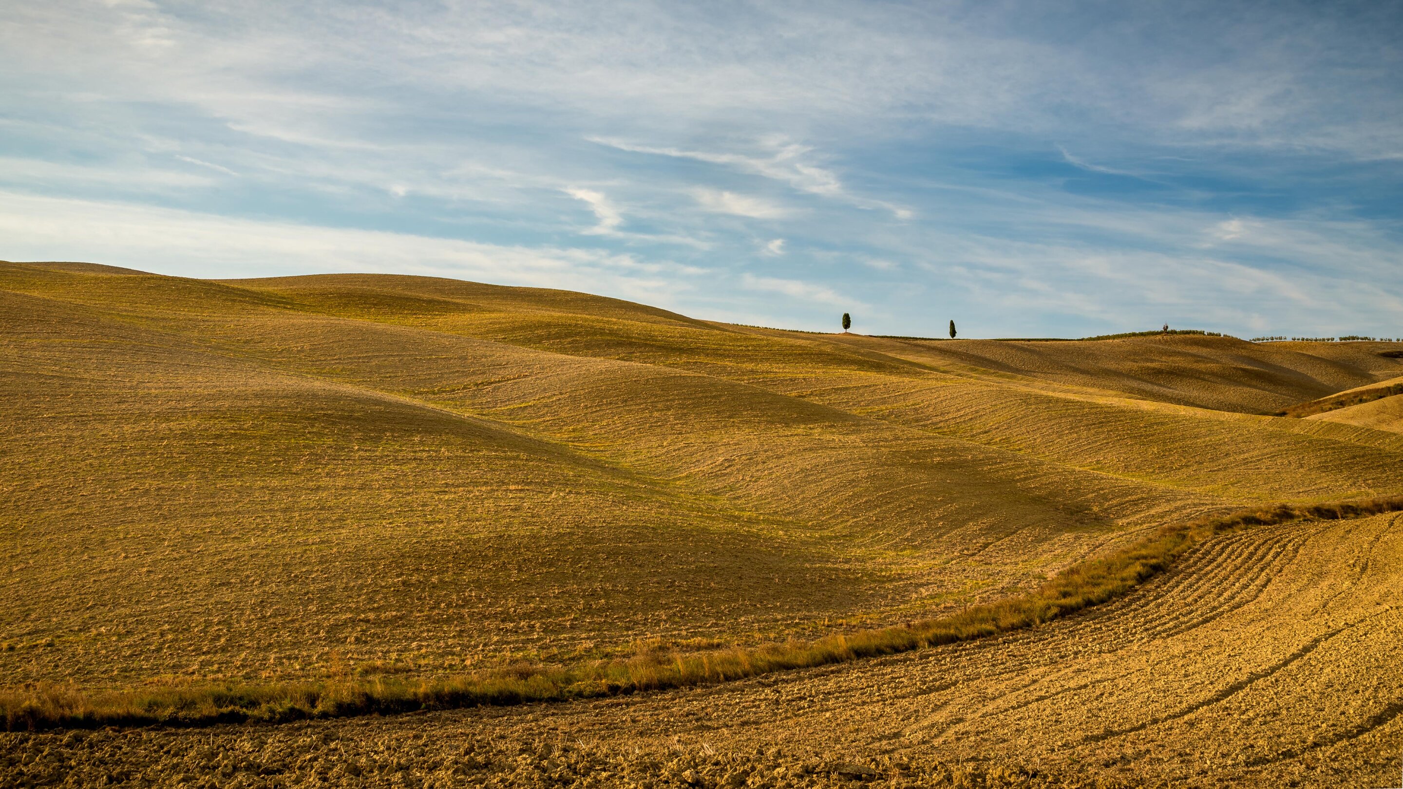 Желтые холмы. Тоскана. Желтое поле холмы. Коричневое поле.
