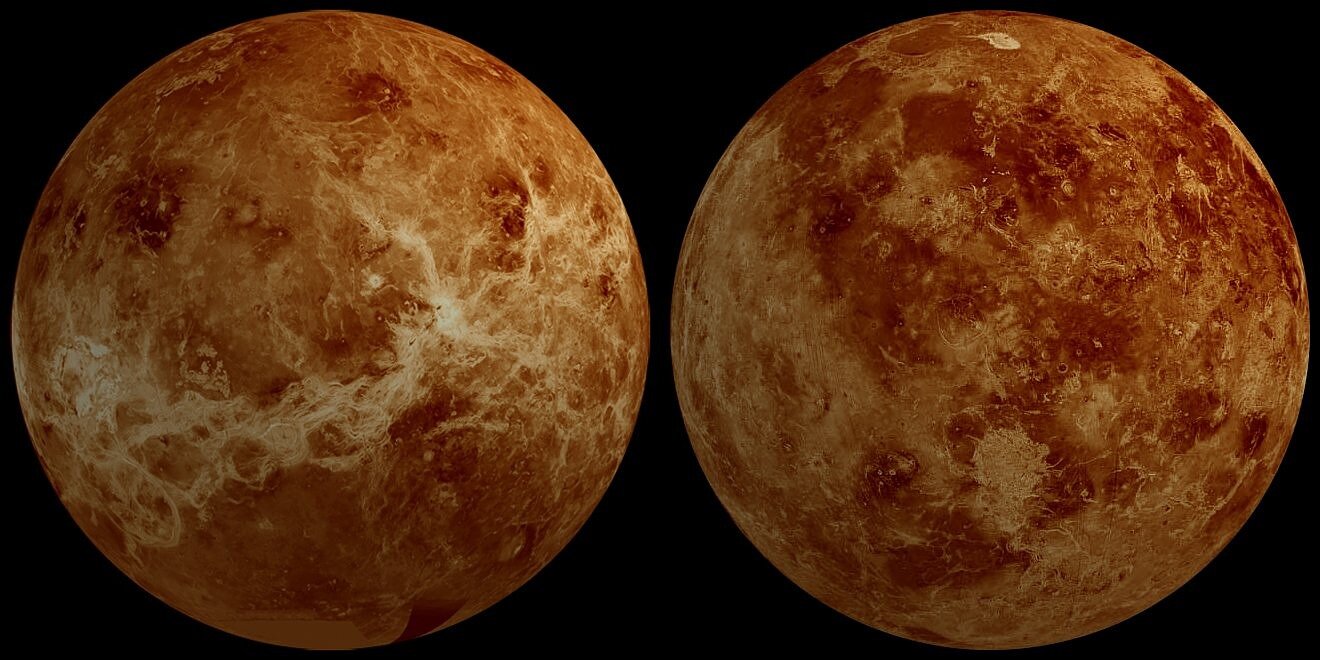 Could acid-neutralizing life-forms make habitable pockets in Venus' clouds?
