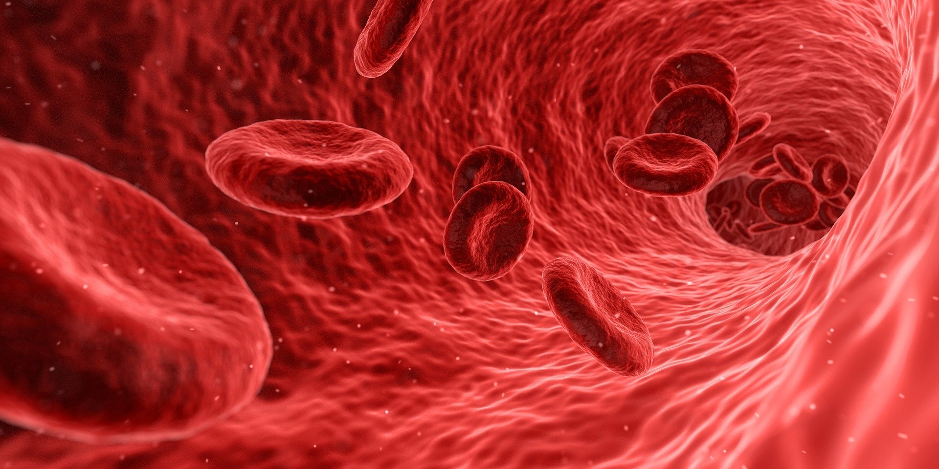 Researchers reveal new strategy to prevent blood clots without increasing the risk of bleeding