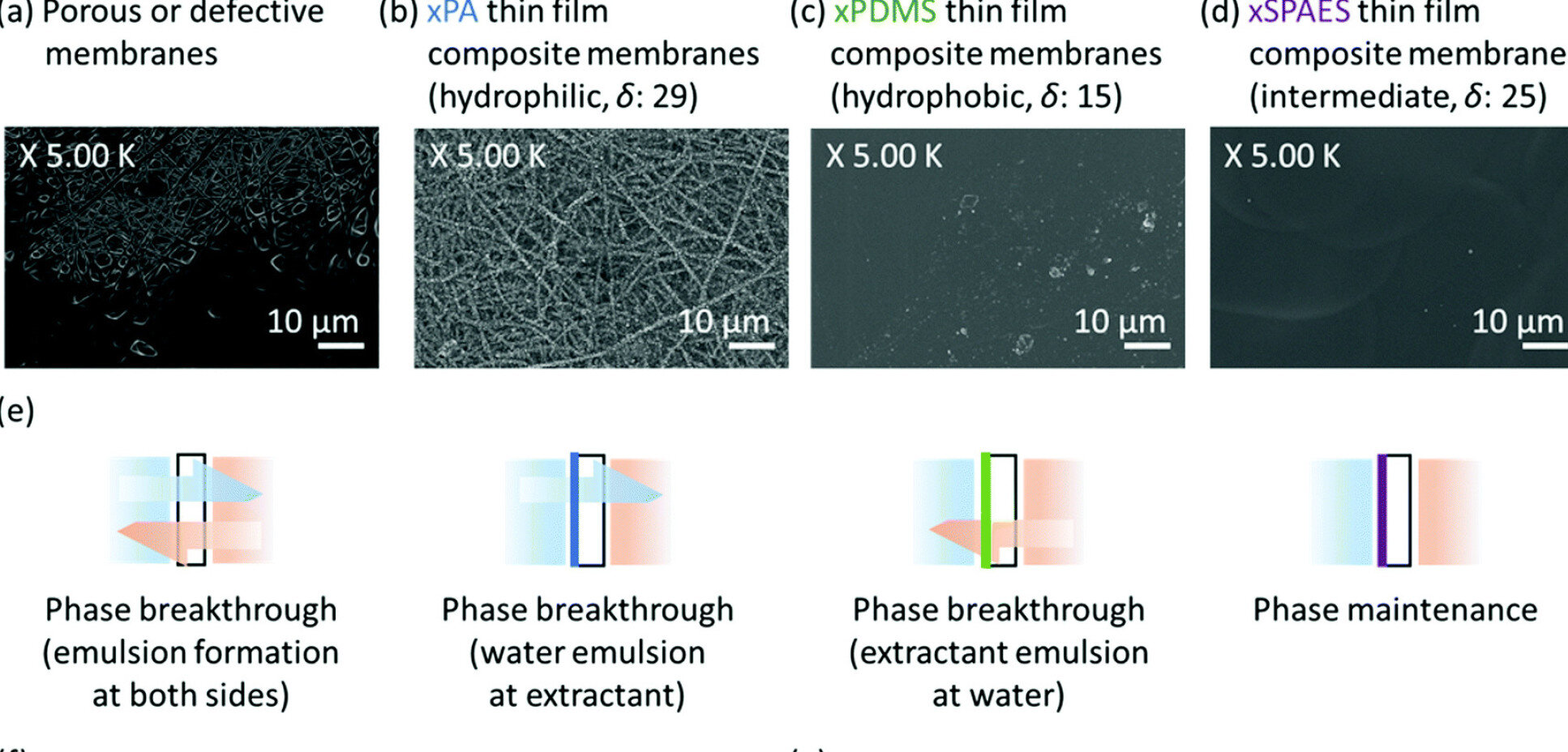 New membrane could pave way for cheap, efficiently made biofuels