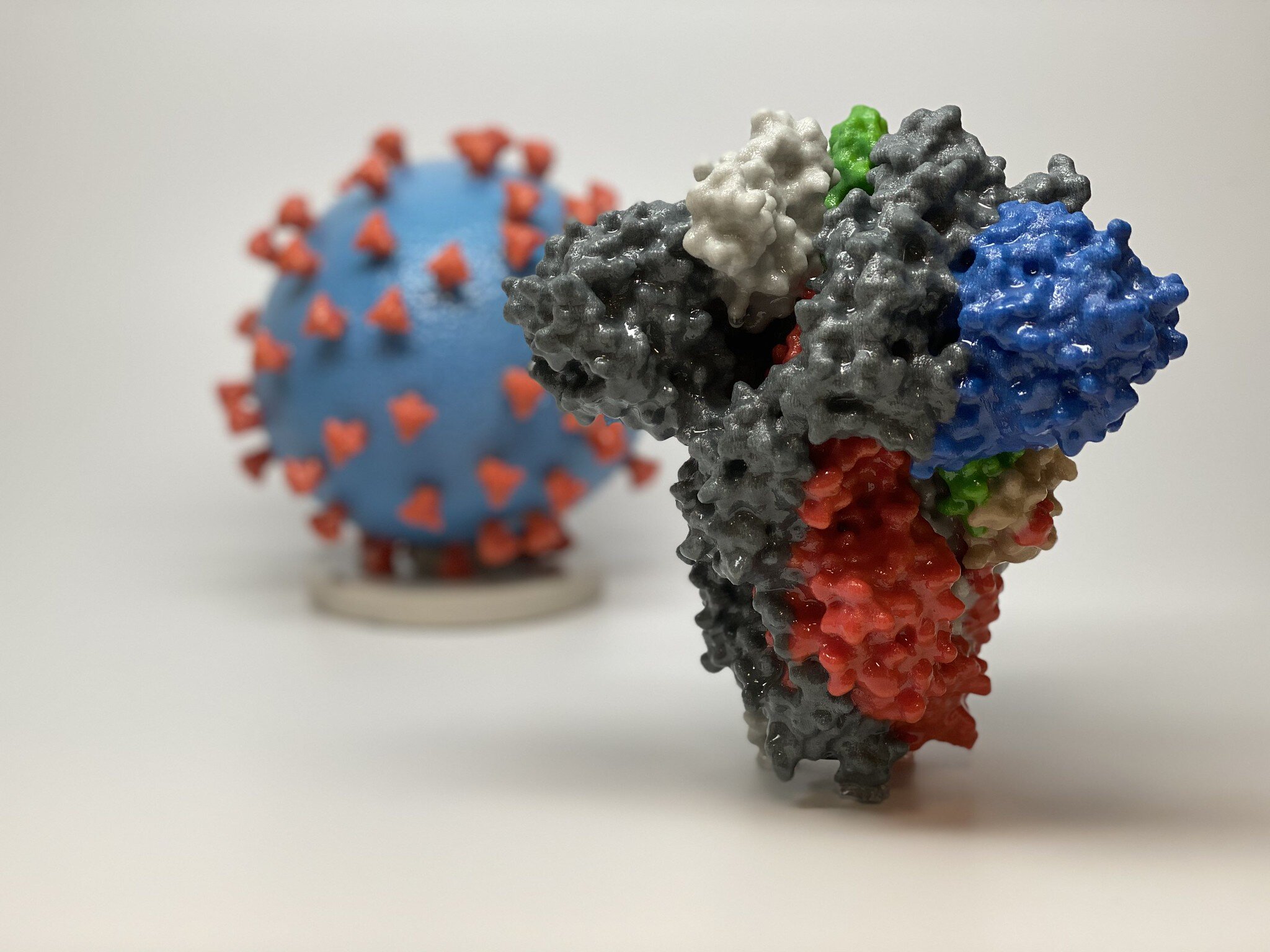 Shared antibodies may push COVID variants: study