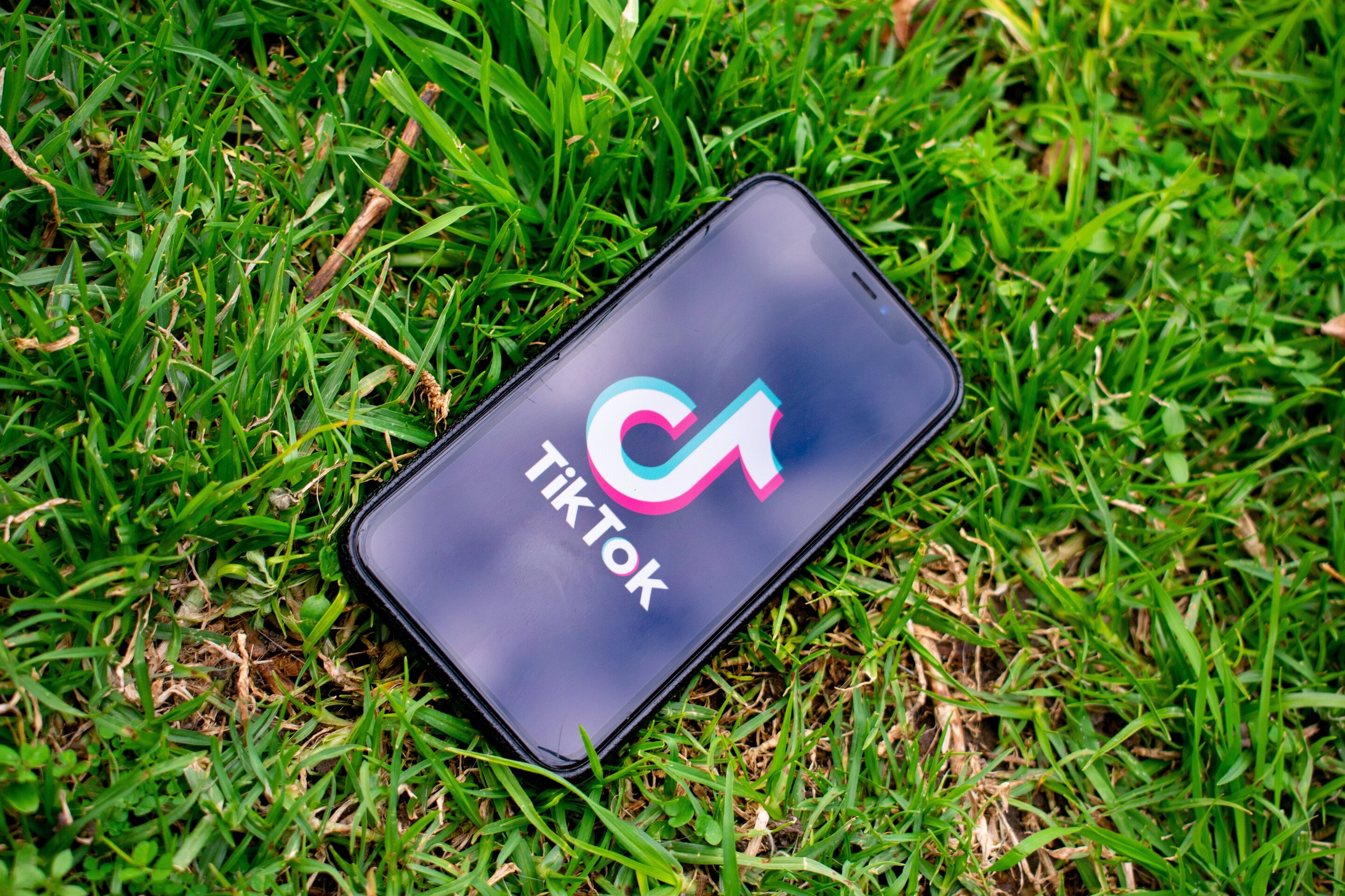 TikTok Found to Be Spreading Misinformation About COVID-19, According to Recent Study