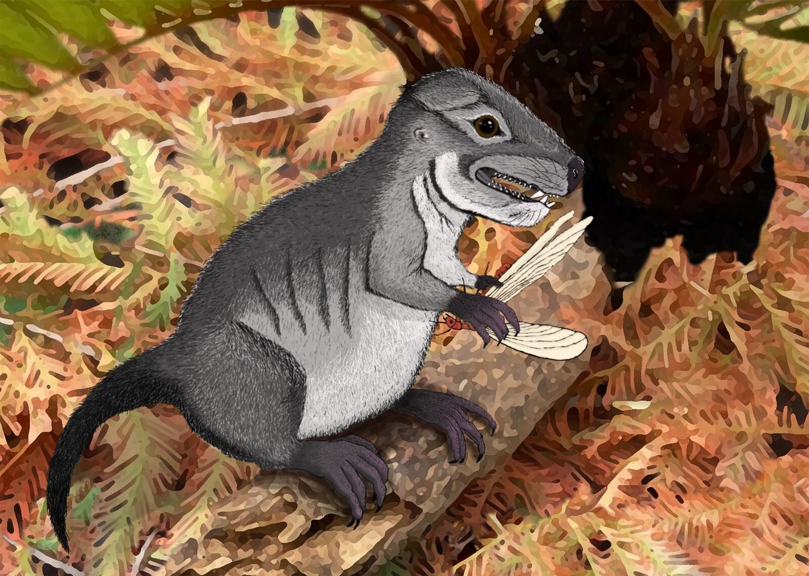 New species of ancient cynodont, 220 million years old, discovered