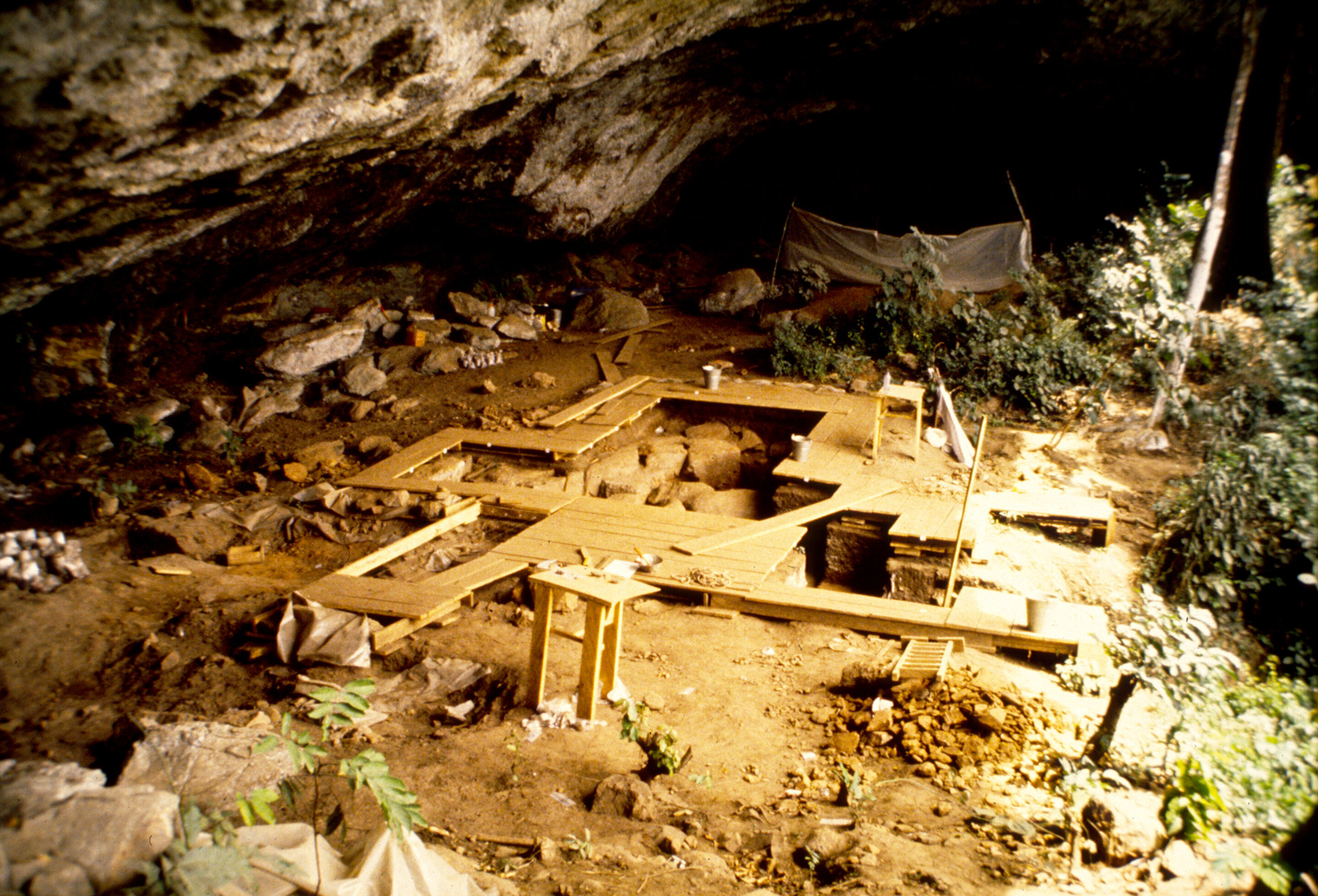 General view of the excavation of Shum Laka’s rockshelter (Grassfields region of Cameroon). This site was home to a human population that lived in the region for at least five millennia and bore little genetic relatedness to the people who live in the region today. Analysis of whole genome ancient DNA data from the people who lived at this site provided insights into the existence of several never-before-appreciated, early-branching African human lineages (photo by Pierre de Maret, January 1994).