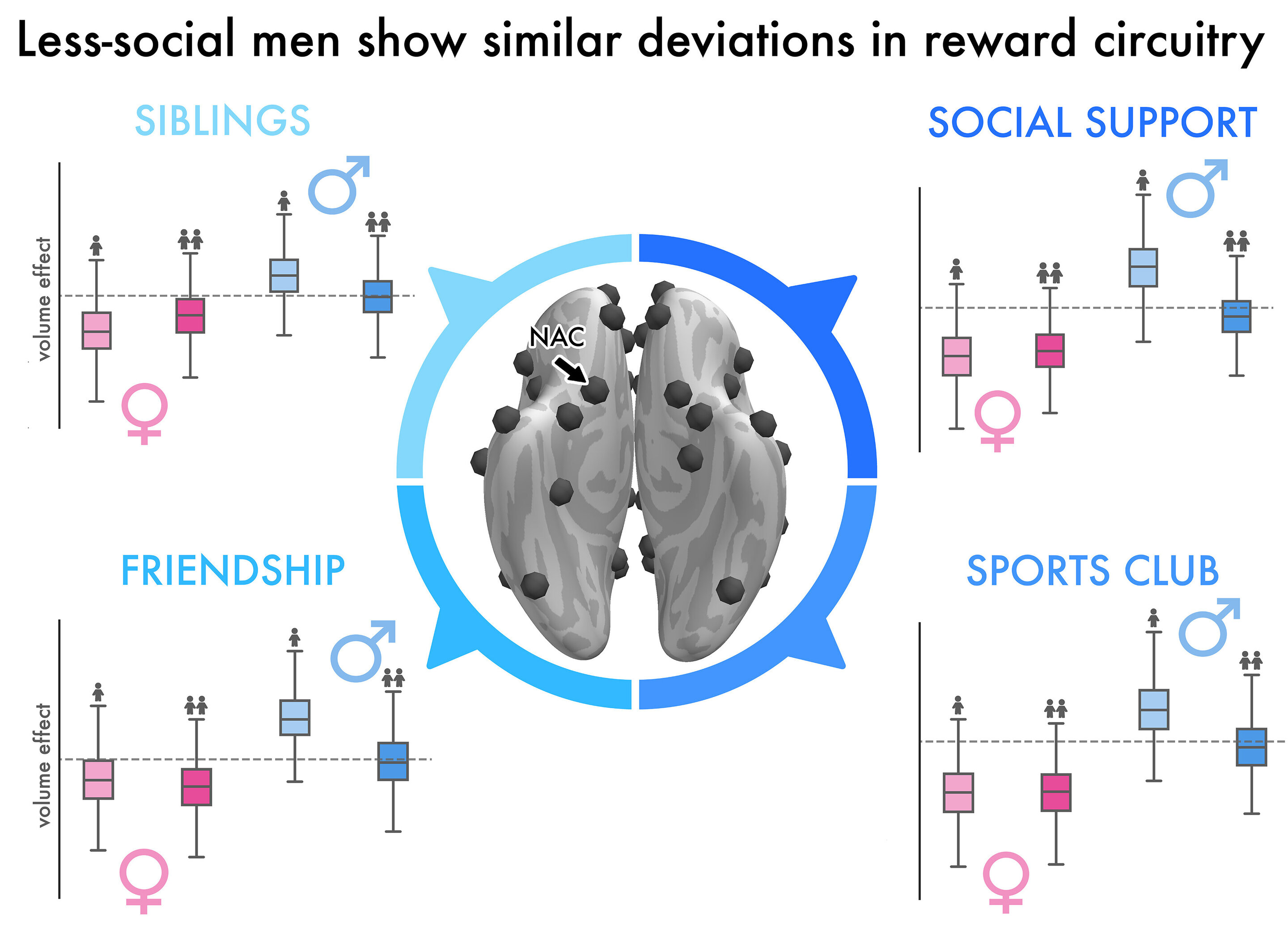 Frontiers  Gender Differences in Body Evaluation: Do Men Show