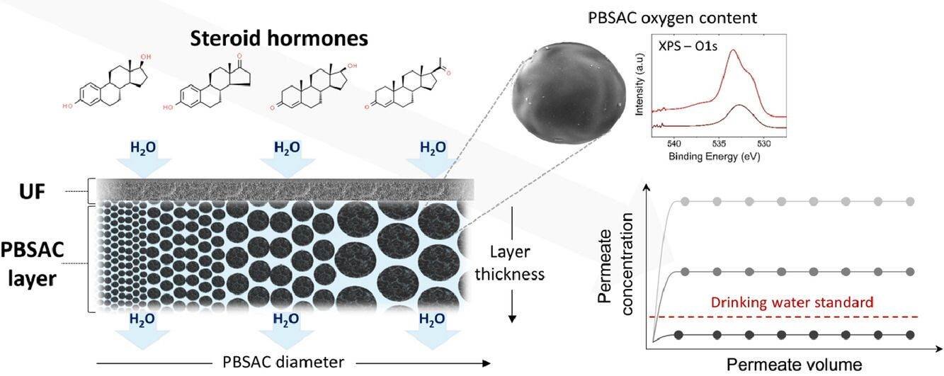 Efficient removal of steroid hormones from water - Phys.org