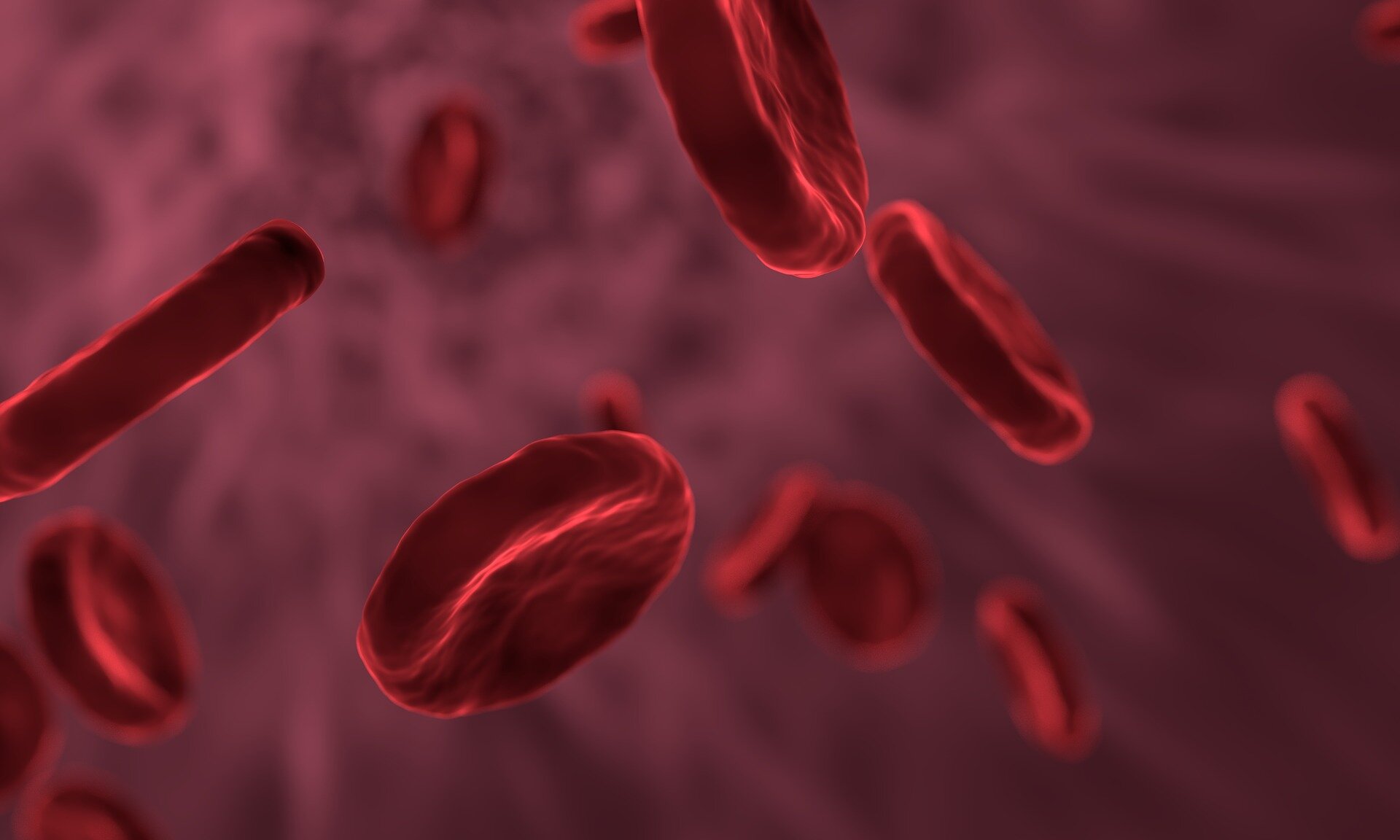 Blood proteins could be the key to a long and healthy life, study finds
