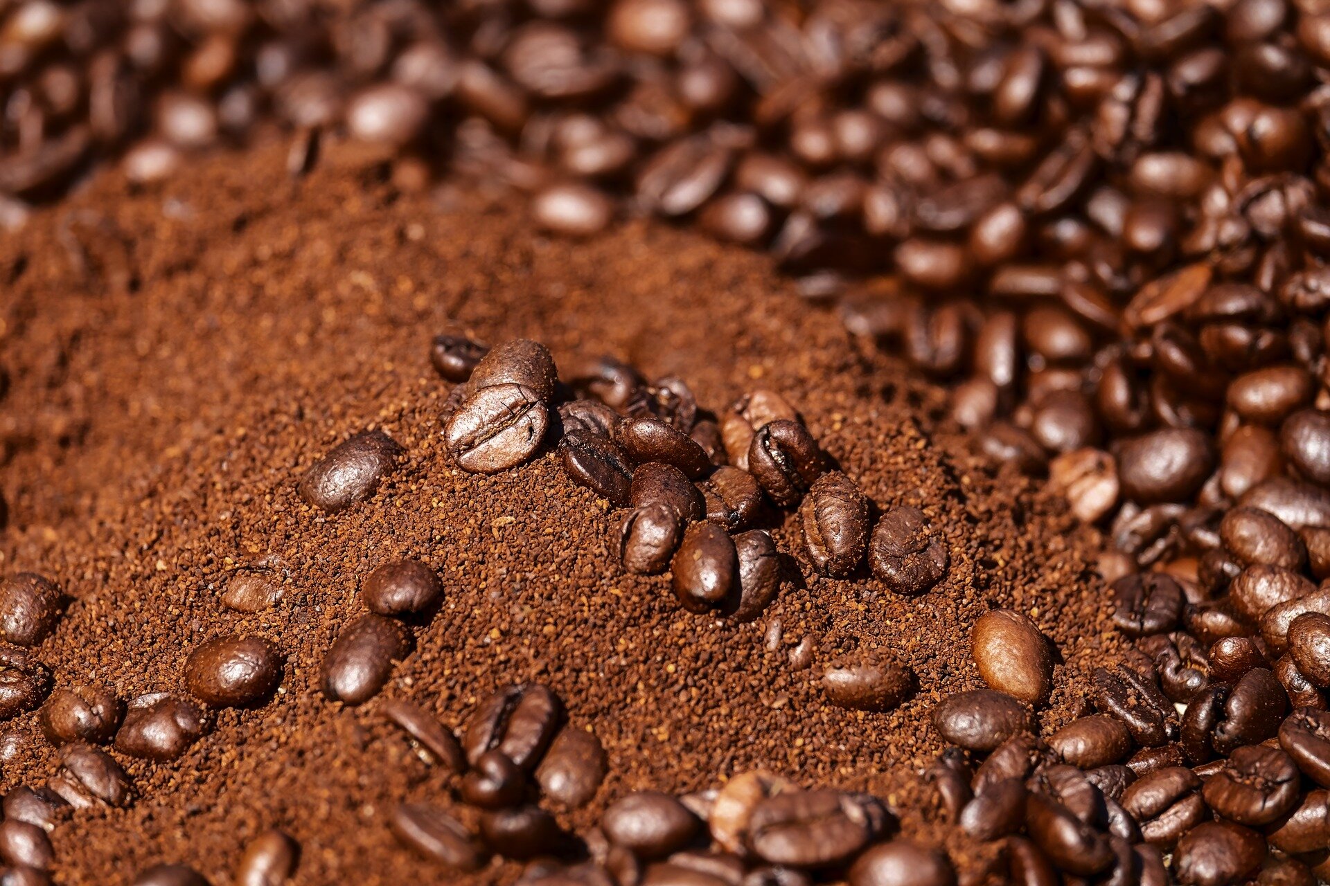 Coffee grounds may hold key to preventing neurodegenerative diseases