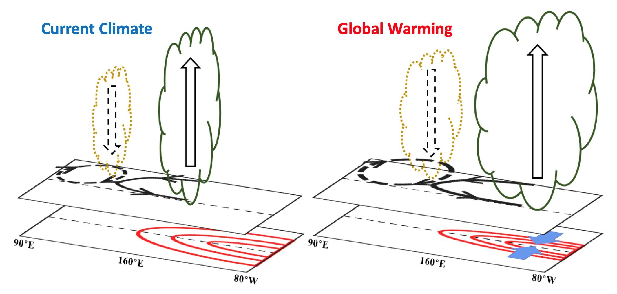 El Niño-Southern Oscillation heat engine shifts eastward under global warming - Phys.org