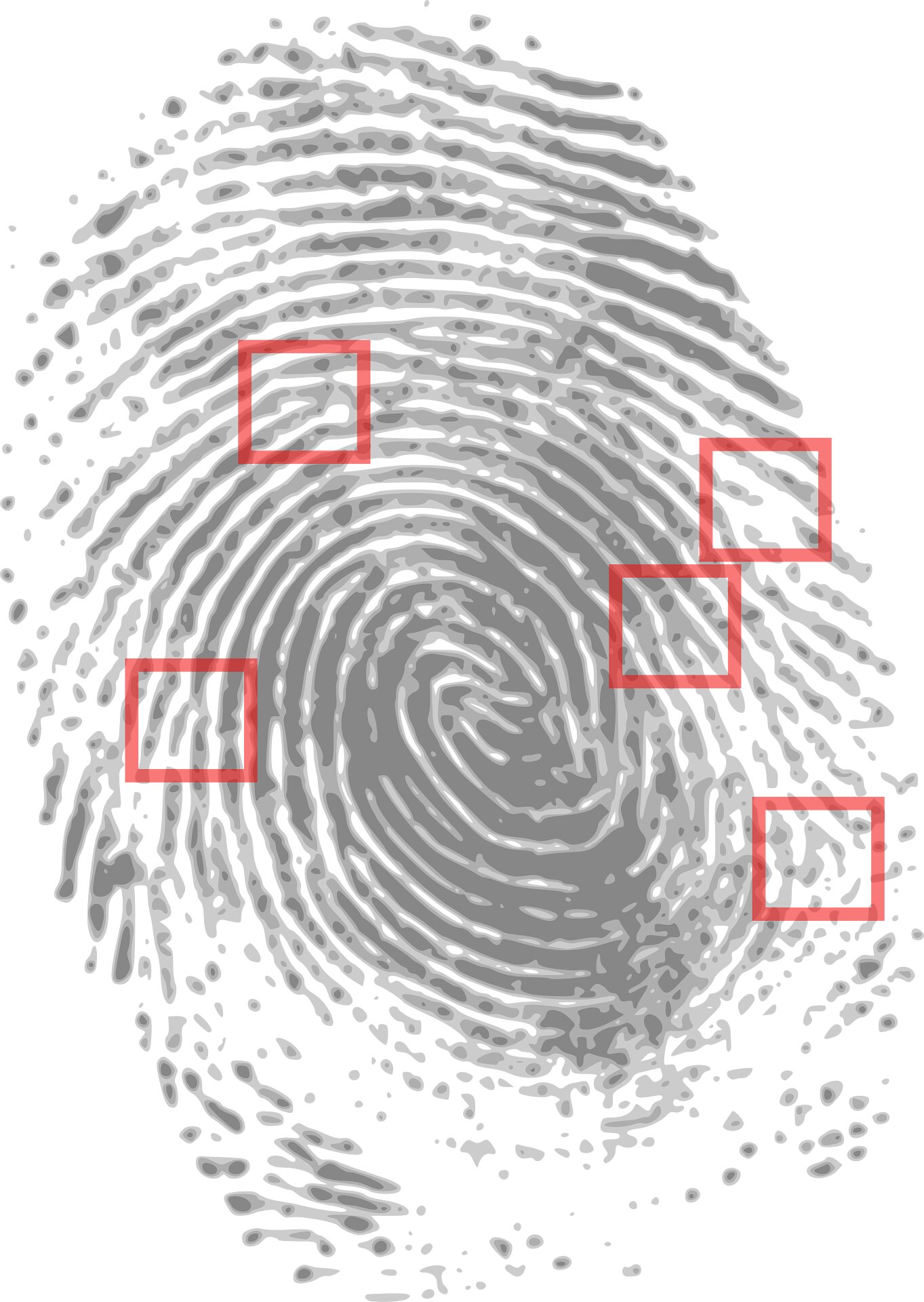 How old is that fingerprint?