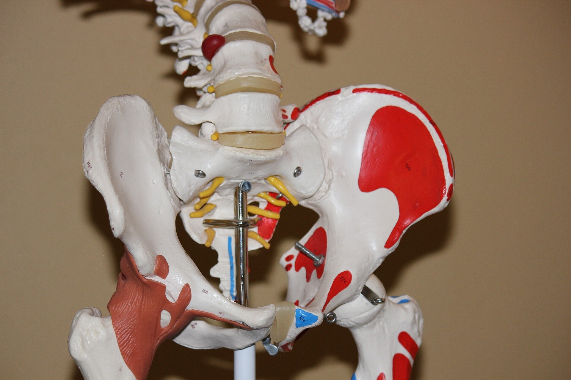 New study suggests robotic surgery may lower risk for hip replacement complications