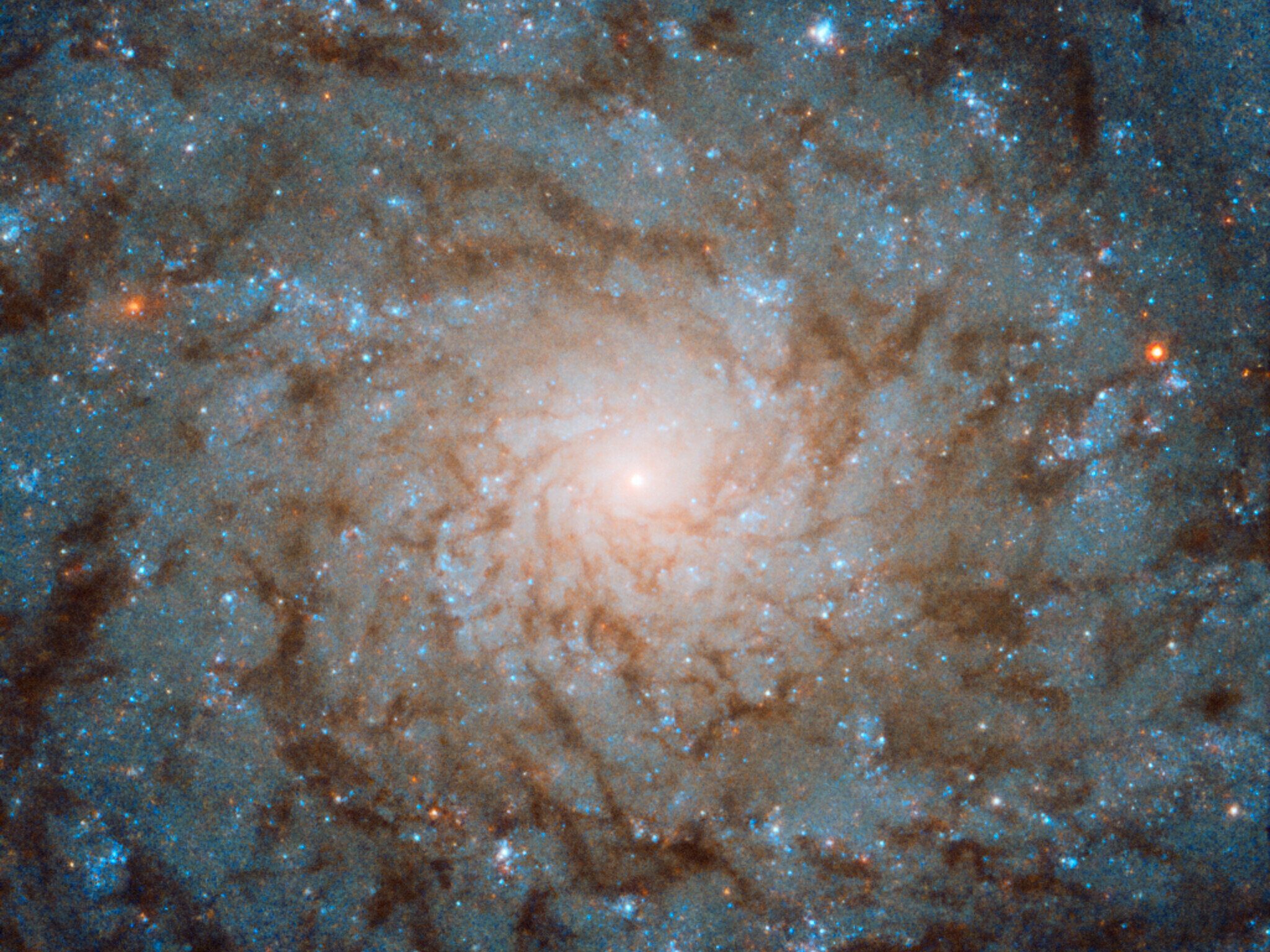 Какой настоящий космос. Снимок галактик с телескопа Хаббл. Спиральная Галактика NGC 1512. NASA телескоп Хаббл. Галактика Млечный путь телескоп Хаббл.