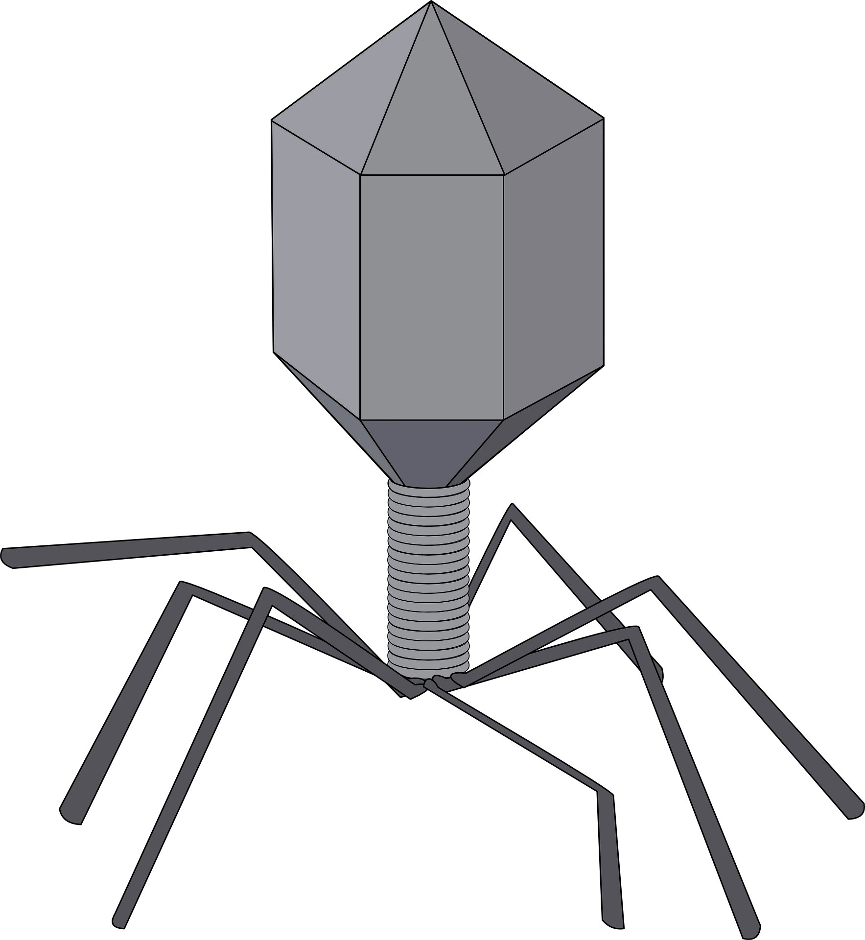phages