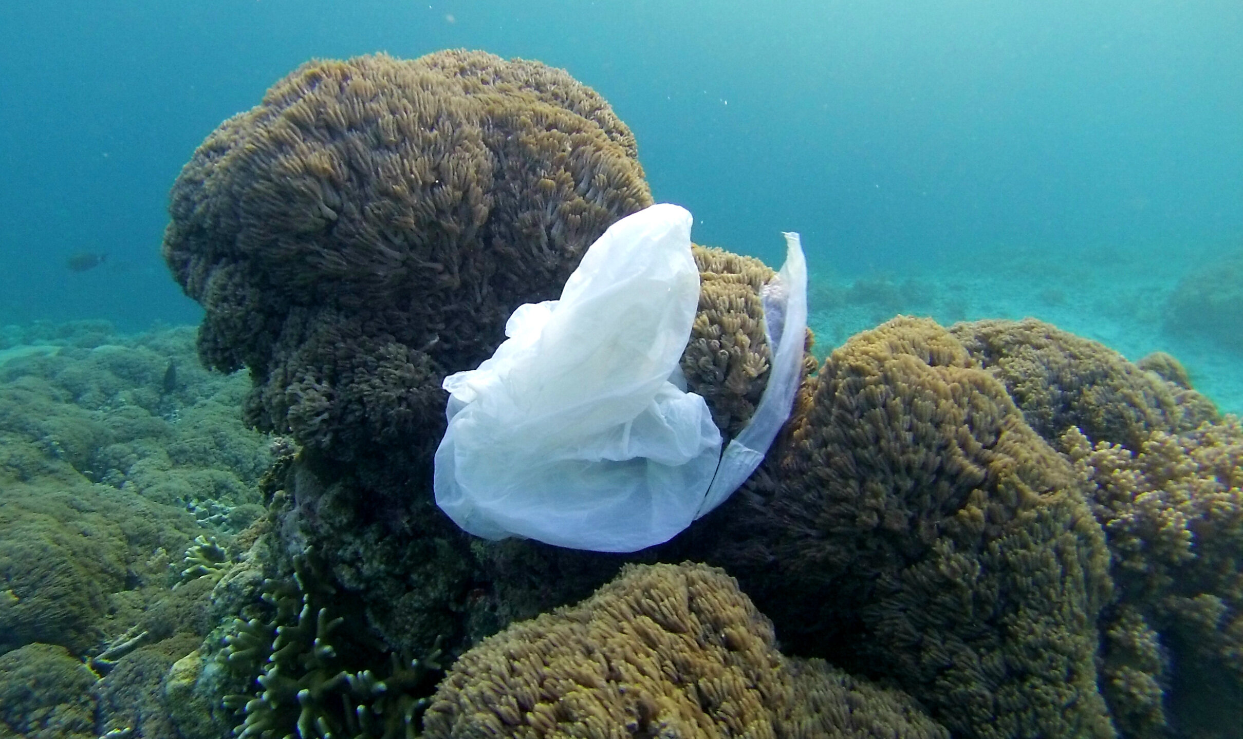 Surface clean-up technology won’t solve ocean plastic problem