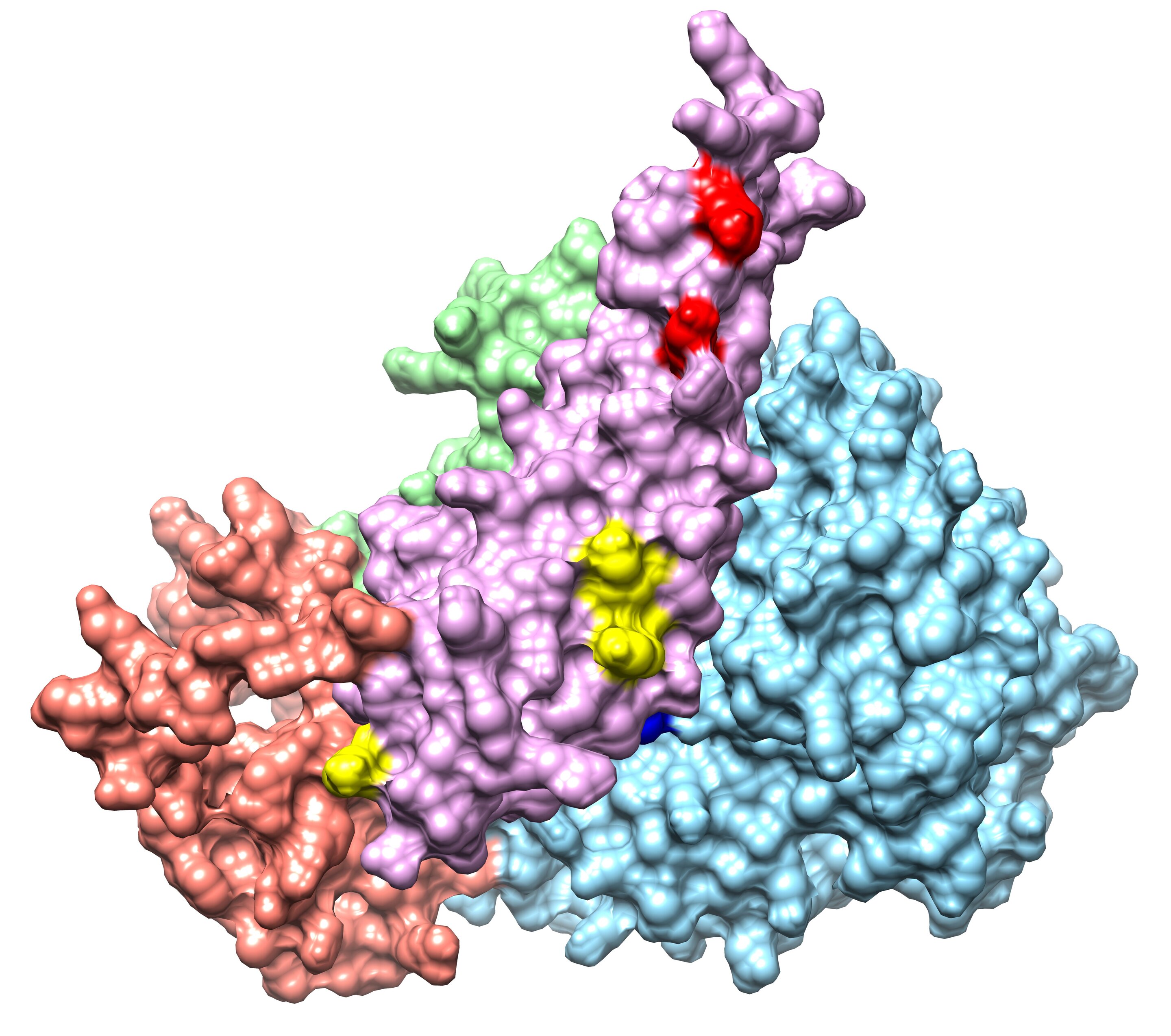 Первые белковые. Белковый комплекс. Белковый комплекс РУБИСКО. Мультибелковый комплекс. Первые белковые комплексы это.